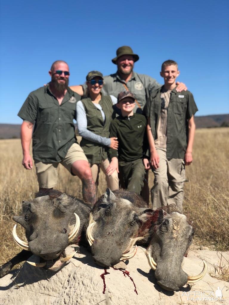 Warthog Hunting South Africa