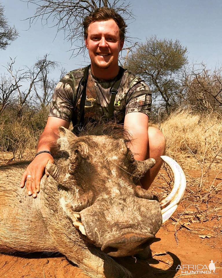 Warthog Hunting South Africa | AfricaHunting.com