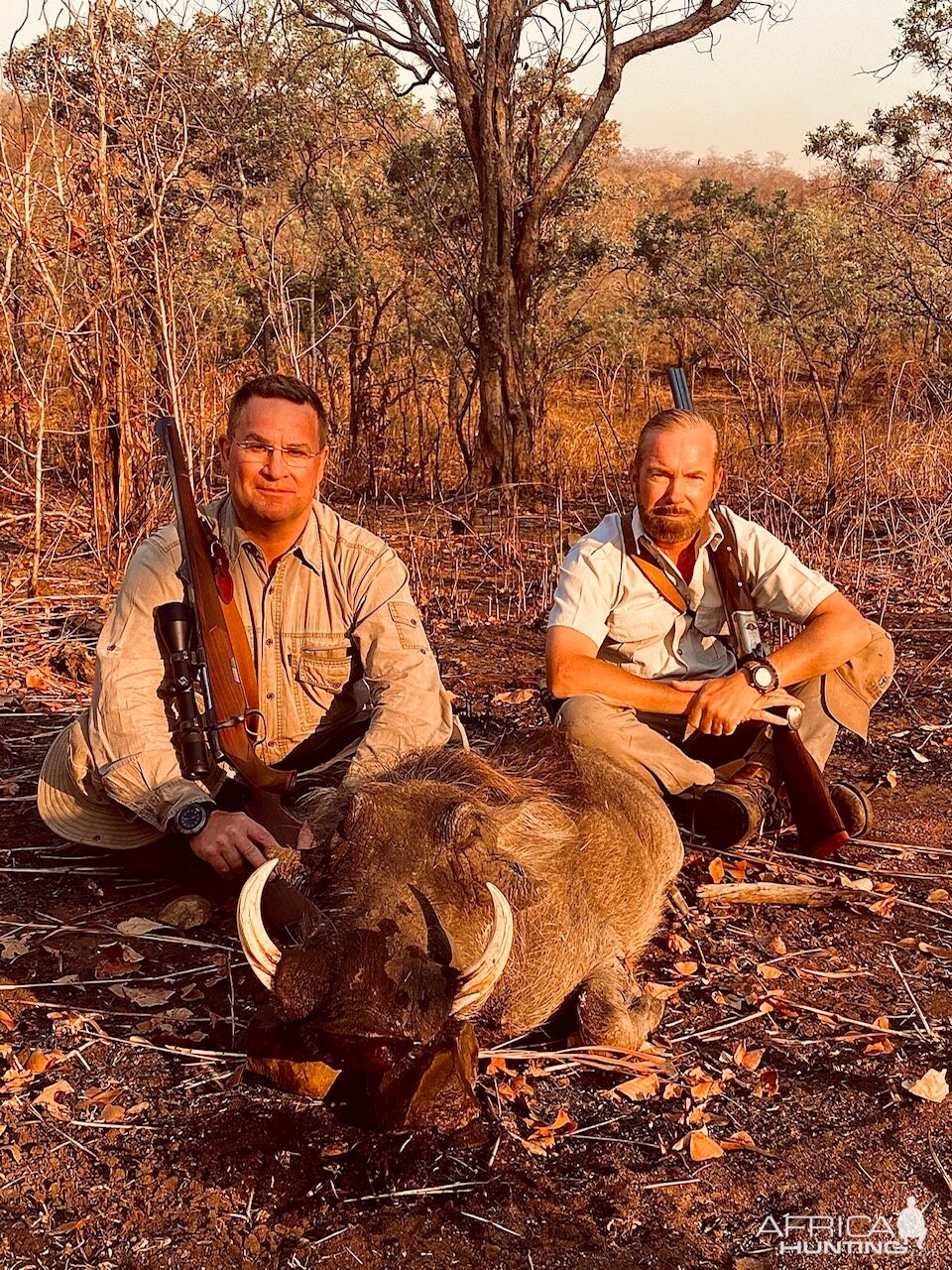 Warthog Hunting Zambia