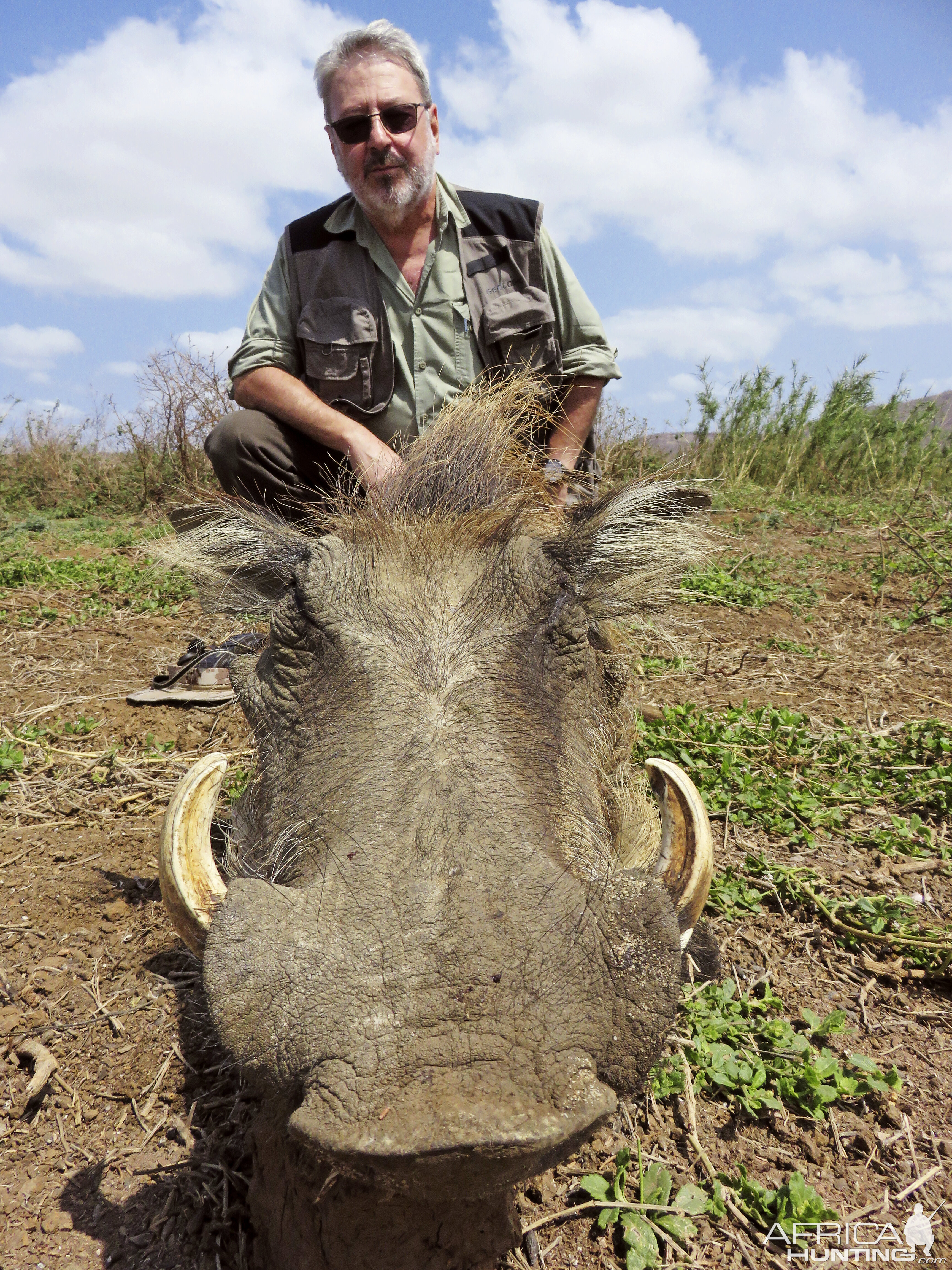 Warthog Hunting