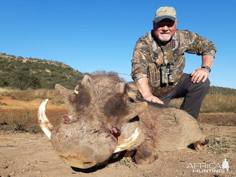 Warthog Hunting