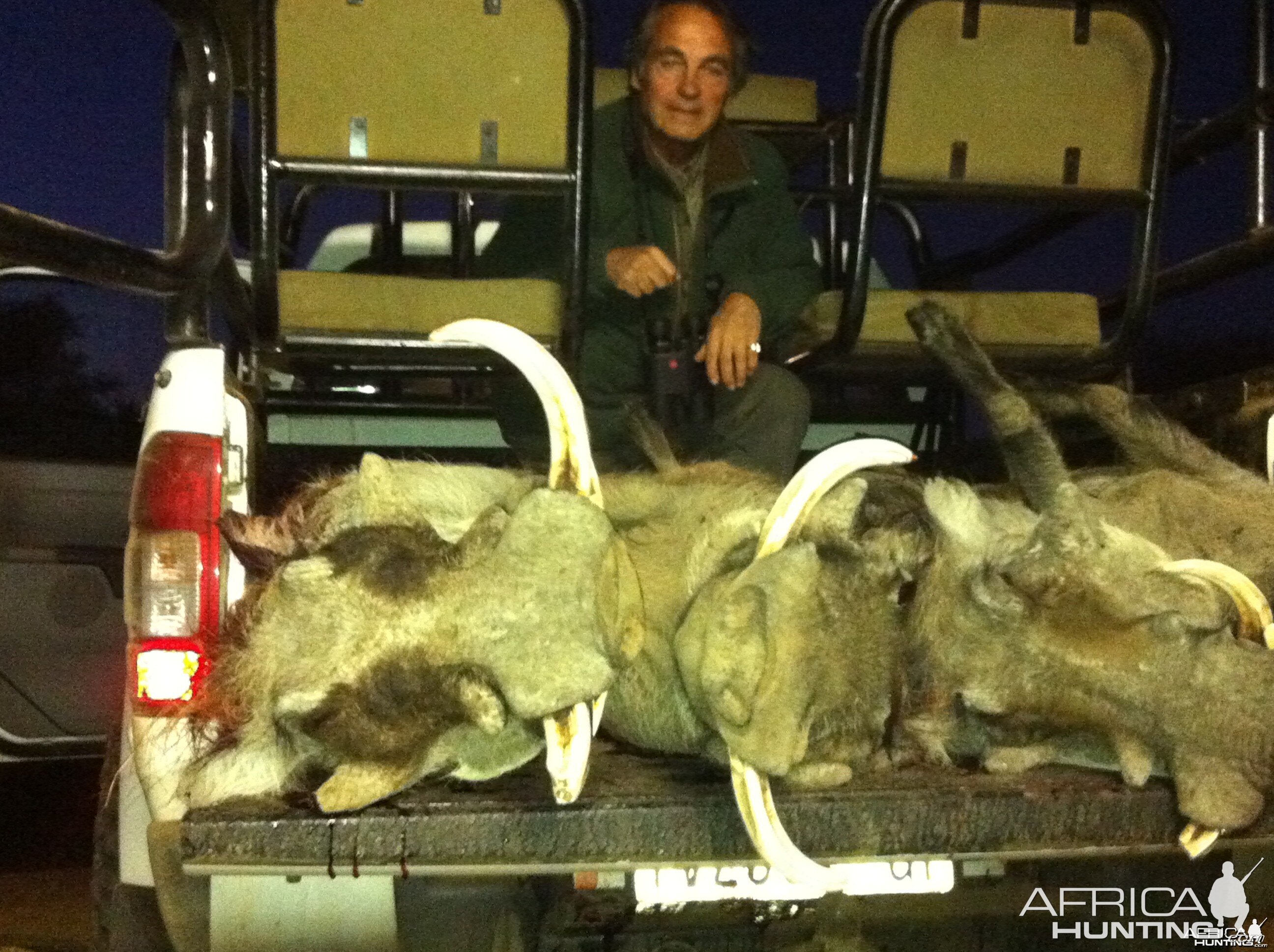 WARTHOG HUNTING... | AfricaHunting.com