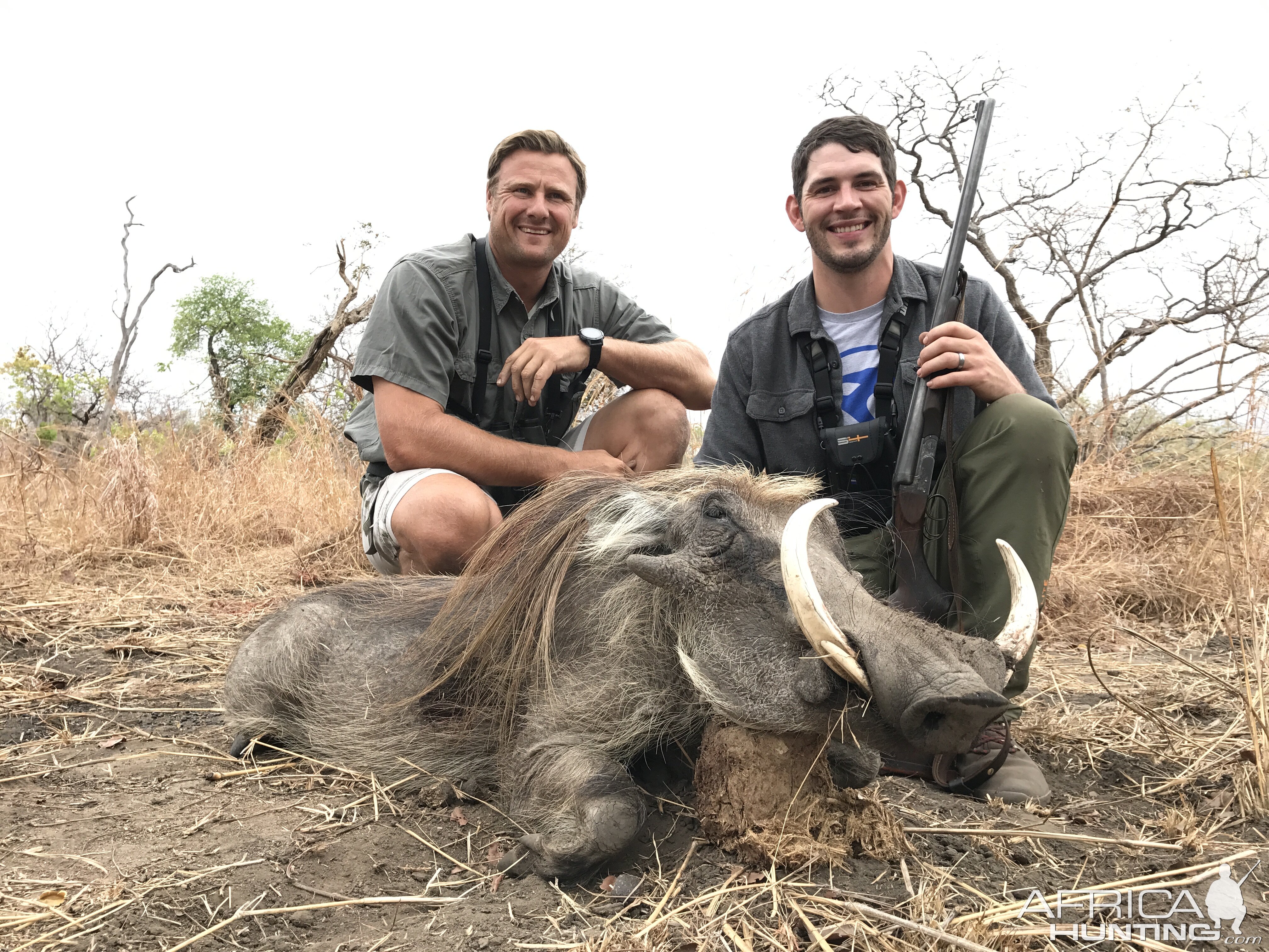 Warthog Mozambique Hunt