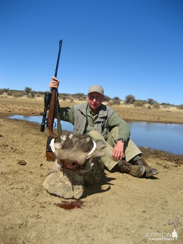 Warthog Namibia Hunt