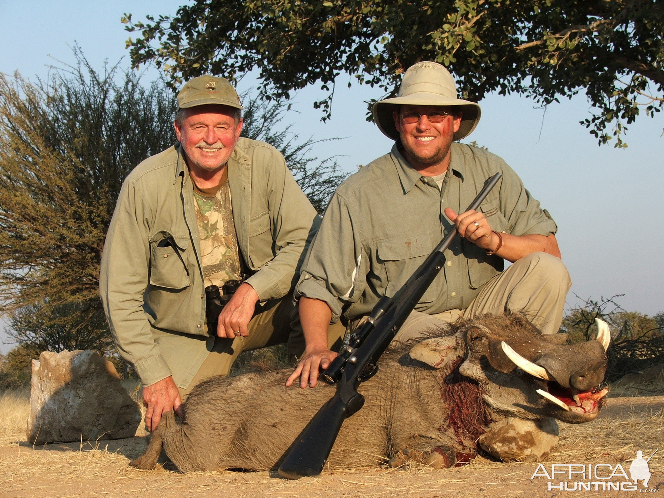 Warthog Namibia