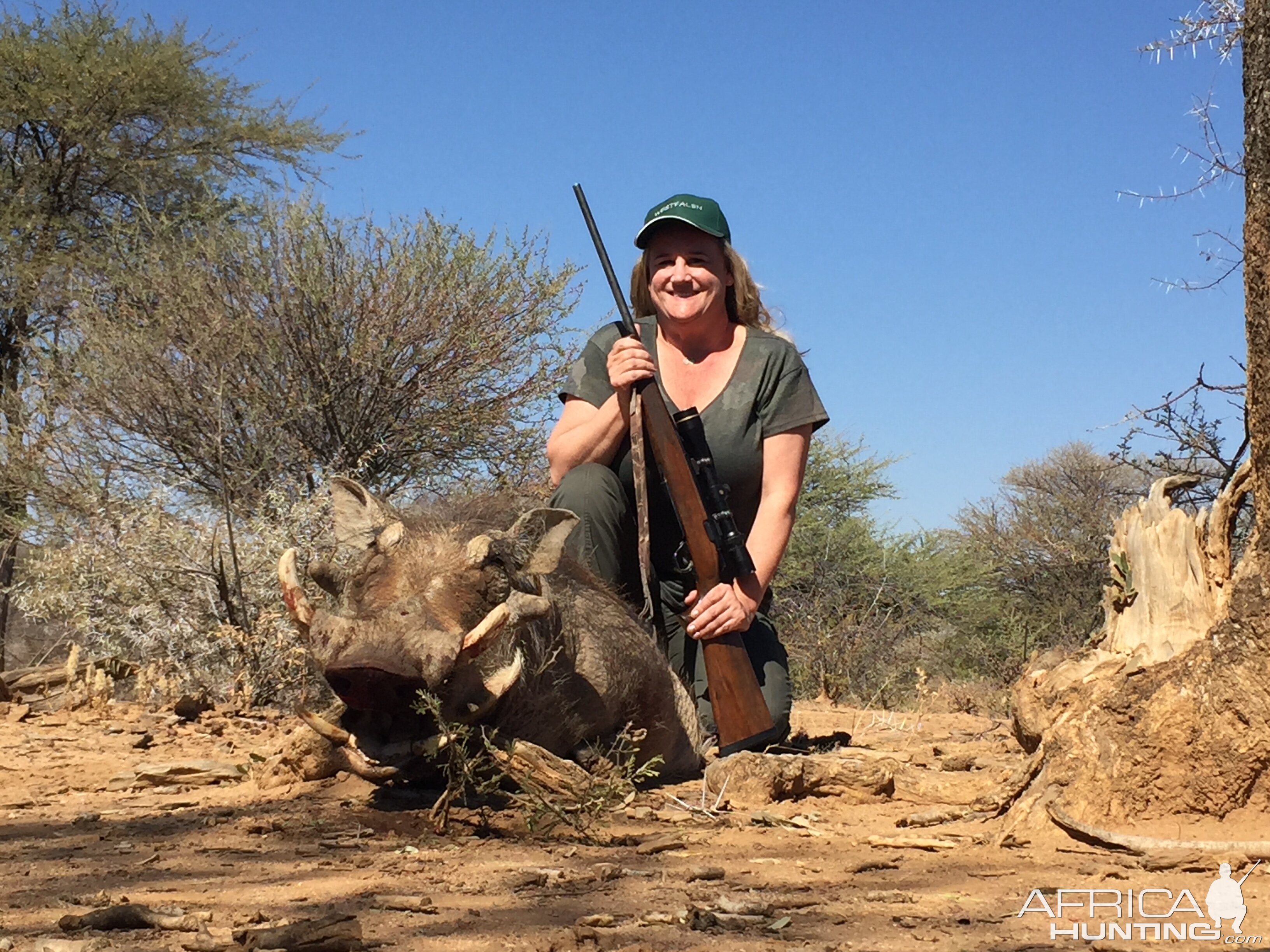 Warthog Namibia