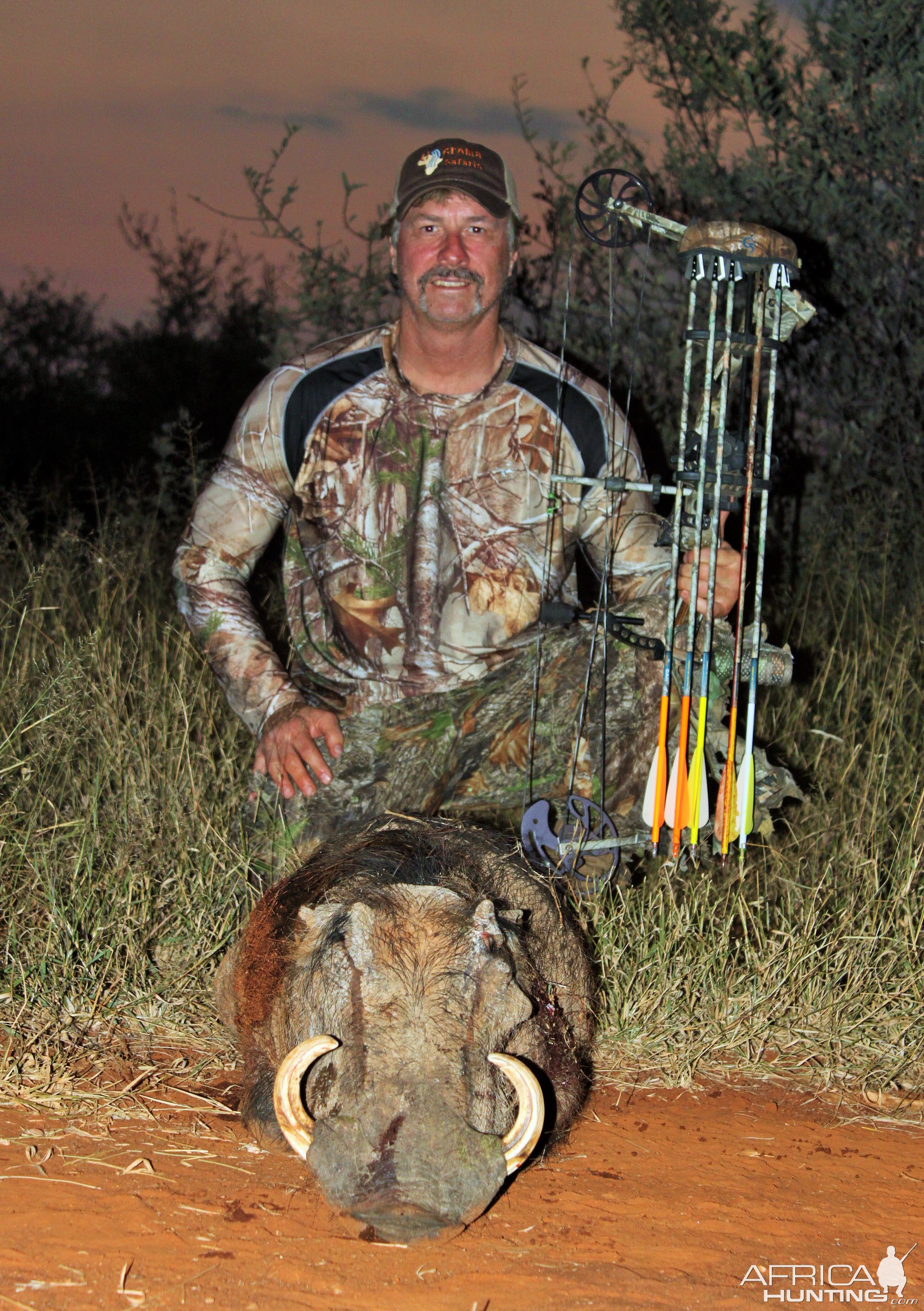 Warthog South Africa  Bow Hunting