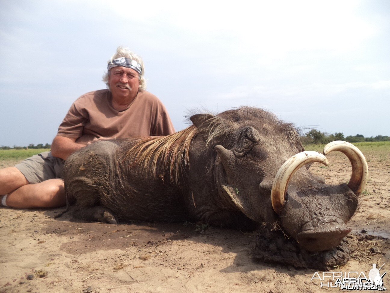 Warthog Uganda | AfricaHunting.com