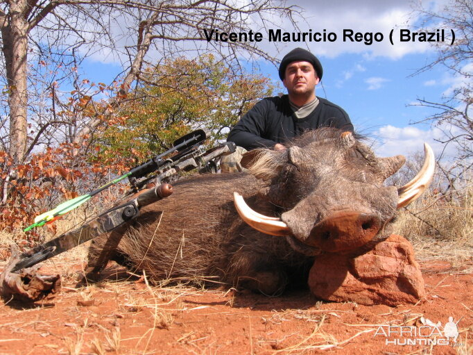 Warthog