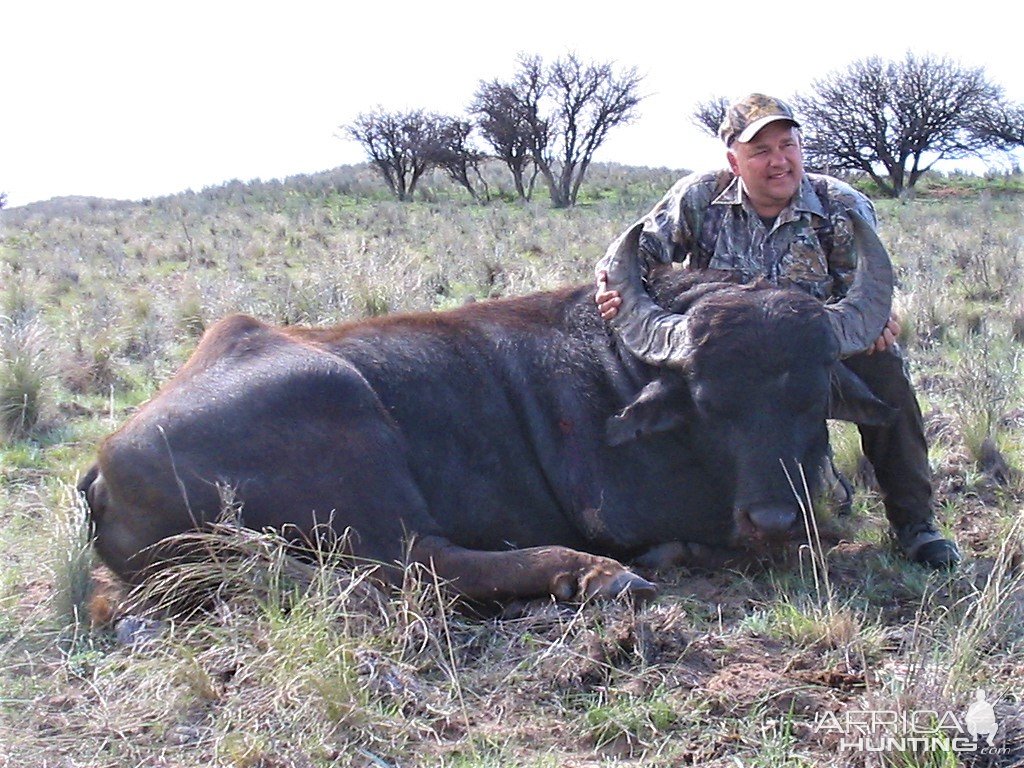 Water Buffalo Hunt Argentina