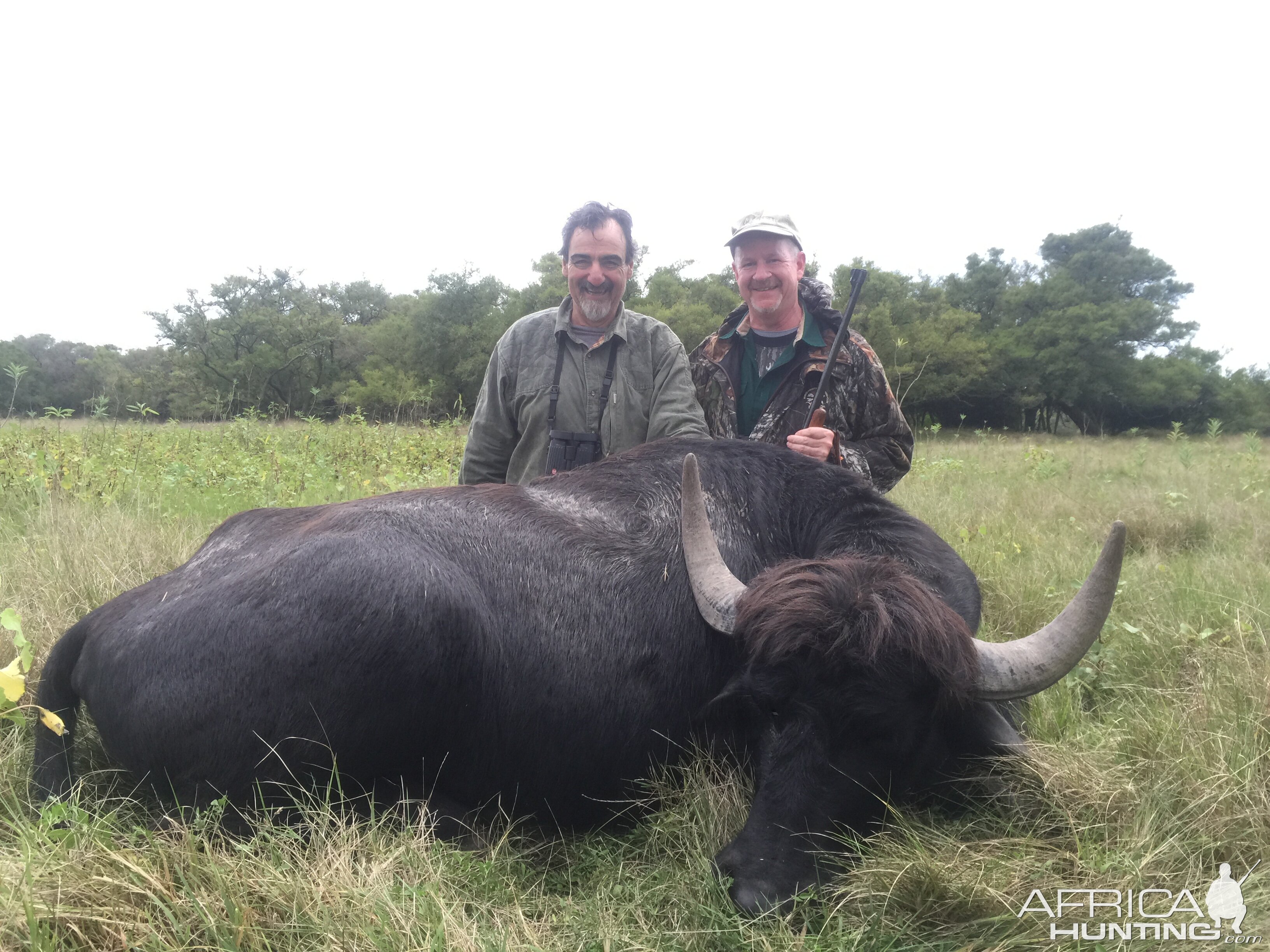 Water Buffalo Hunt Argentina