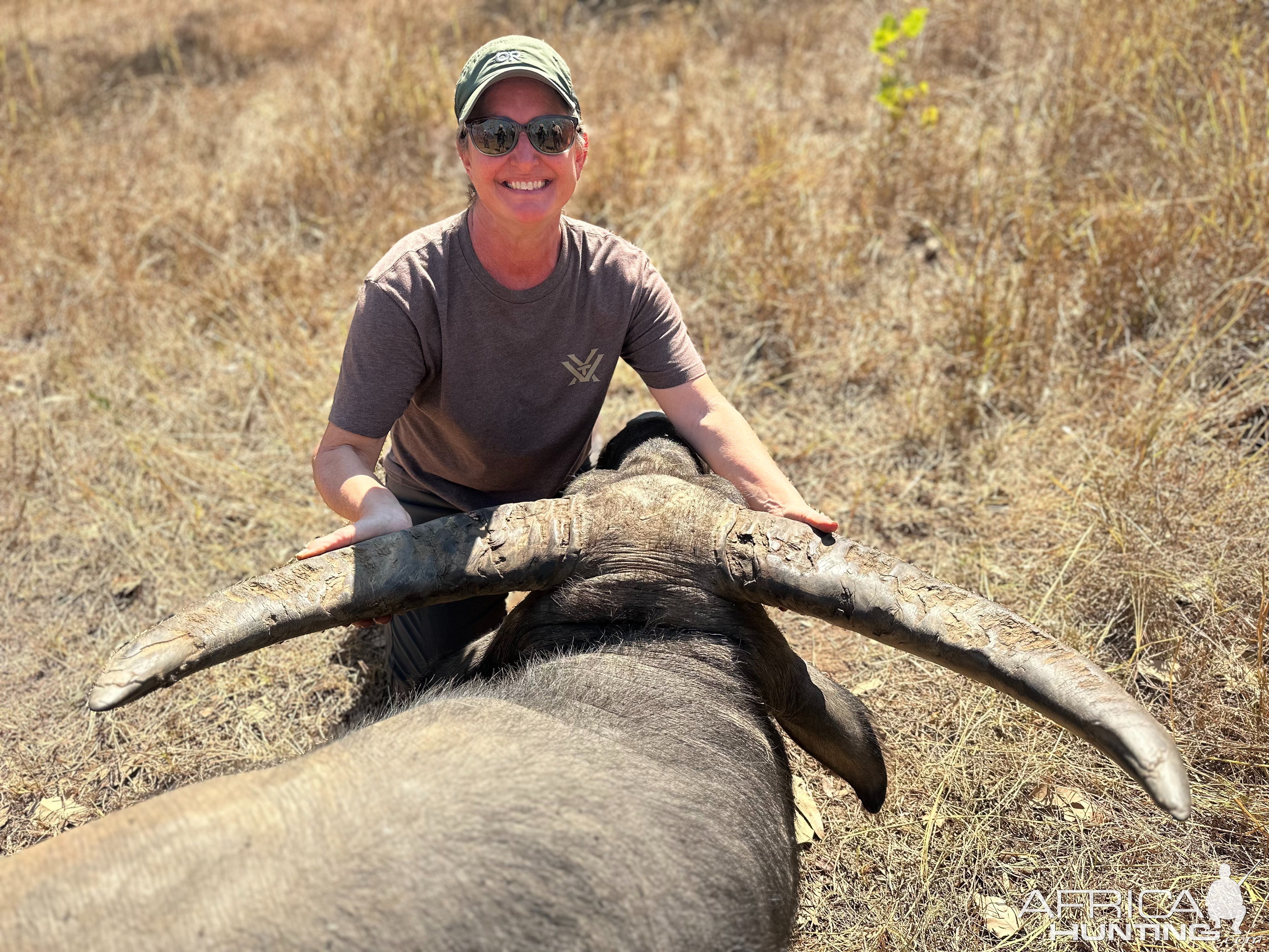 Water Buffalo Hunt Hunt Australia