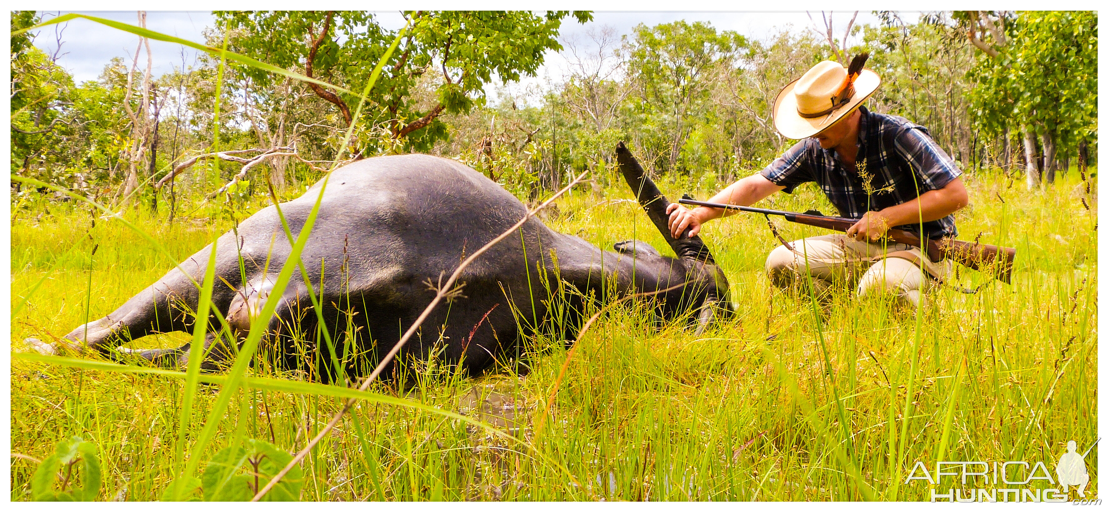 Water Buffalo Hunt In Australia | AfricaHunting.com