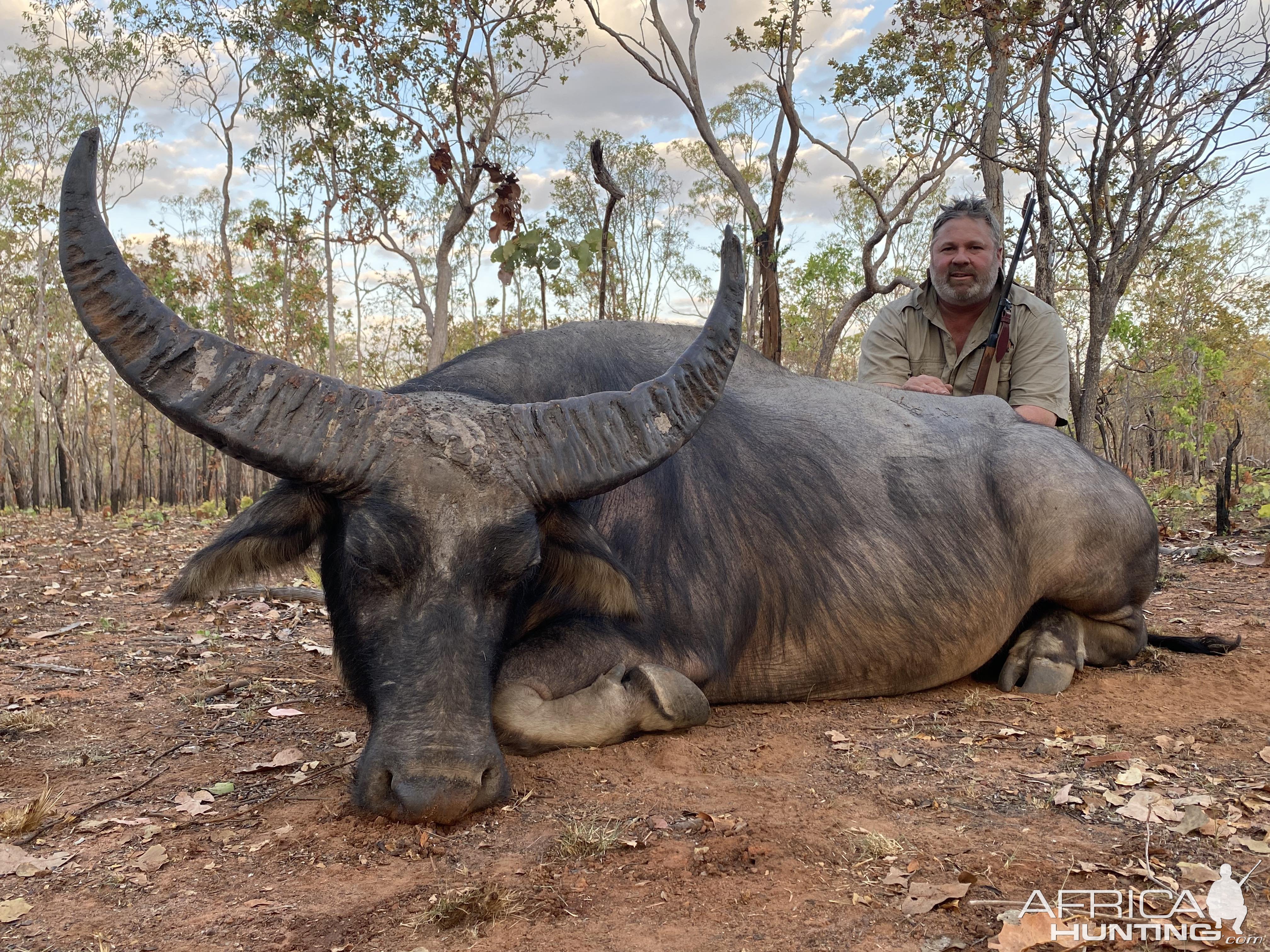 Water Buffalo Hunt Northern Territory Australia