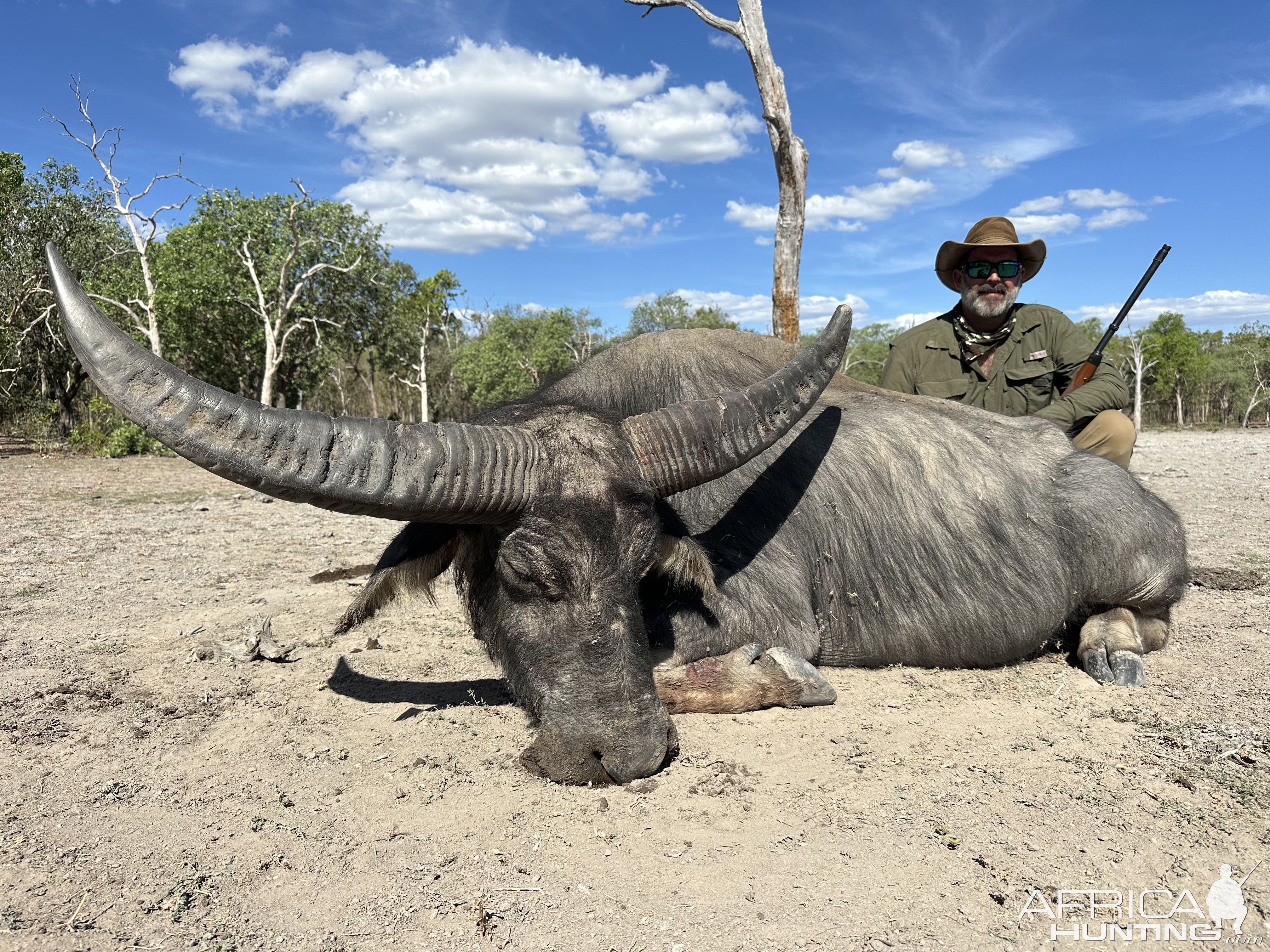 Water Buffalo Hunting Australia