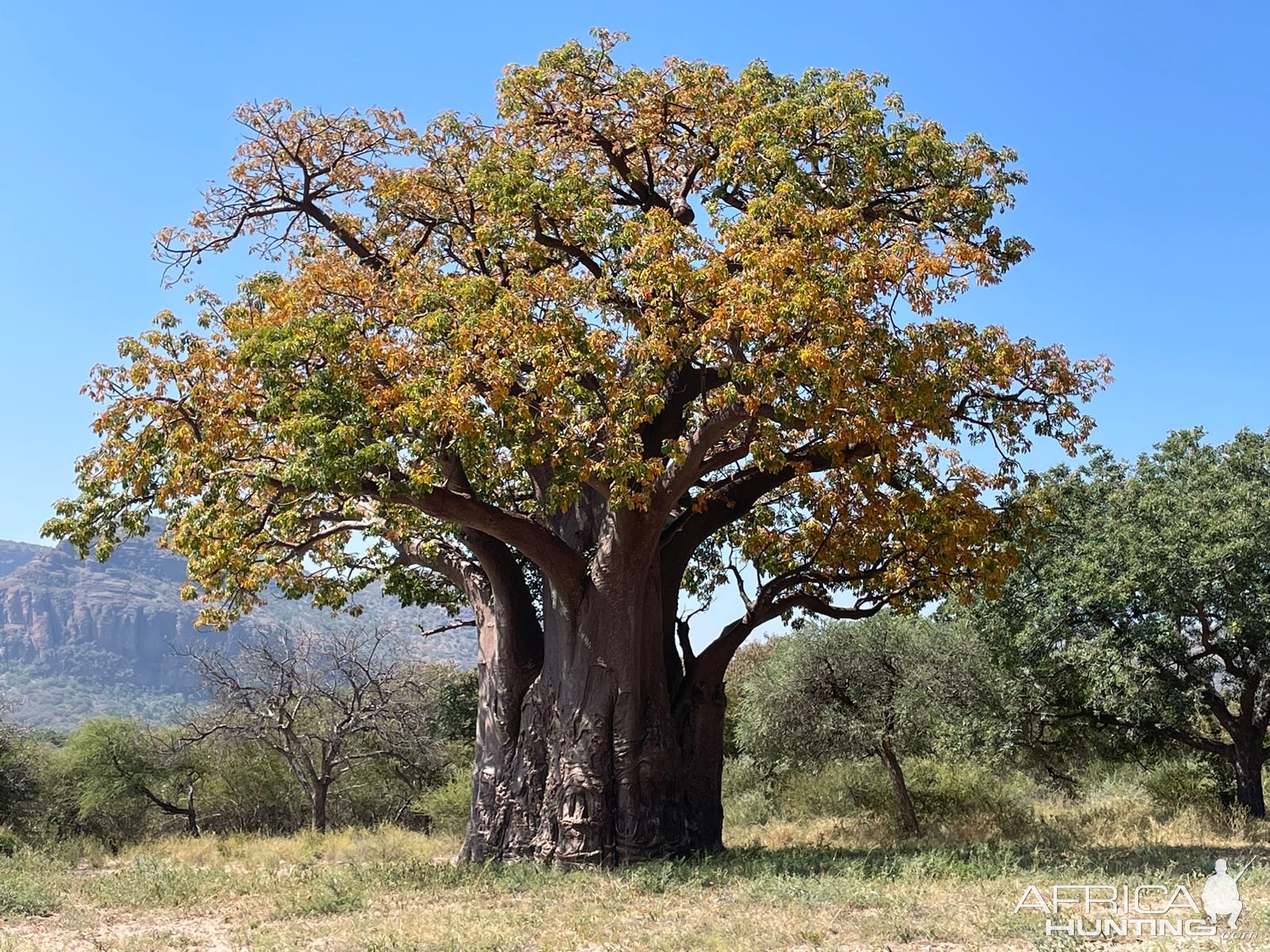 Waterberg Mountains South Africa