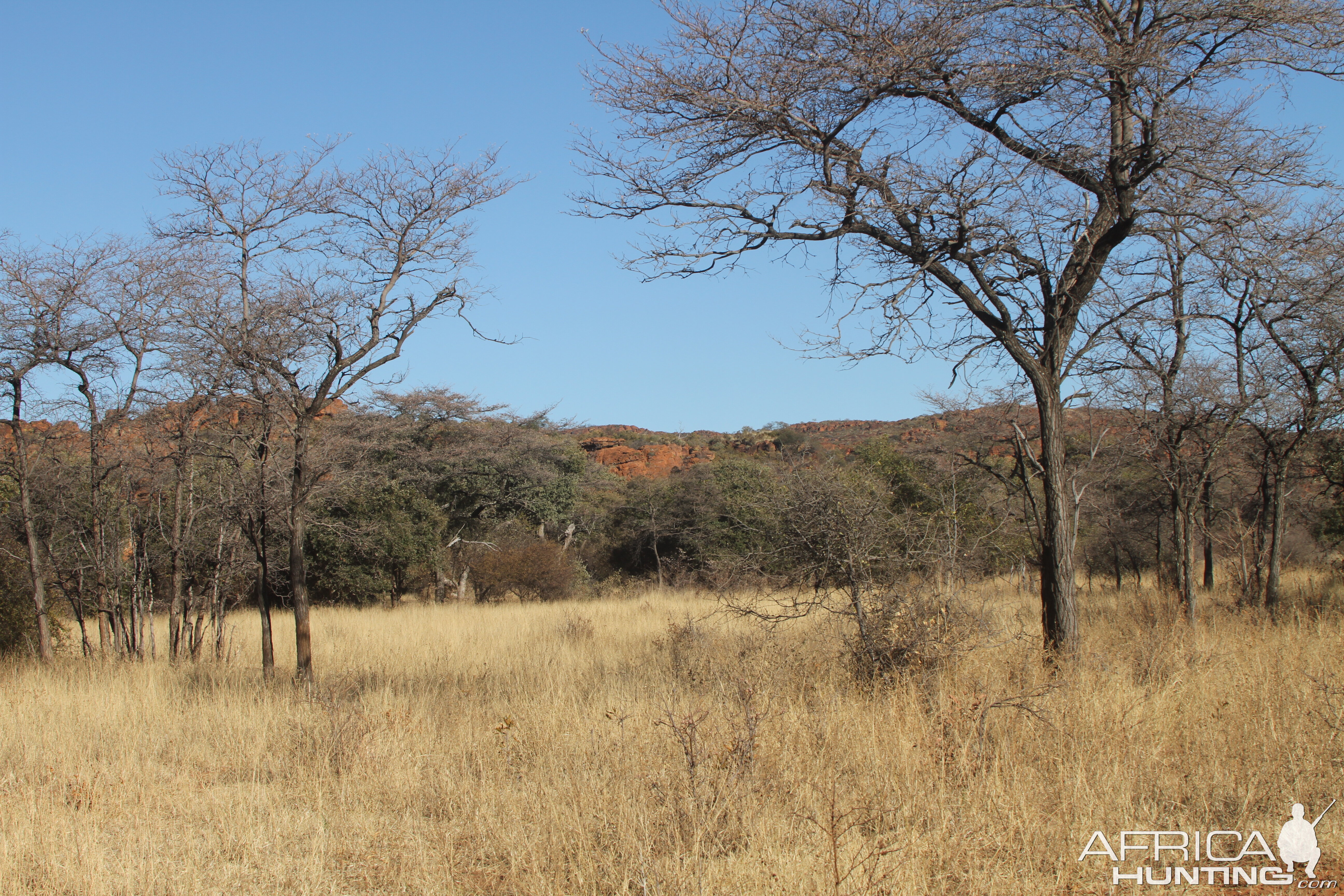 Waterberg National Park Namibia