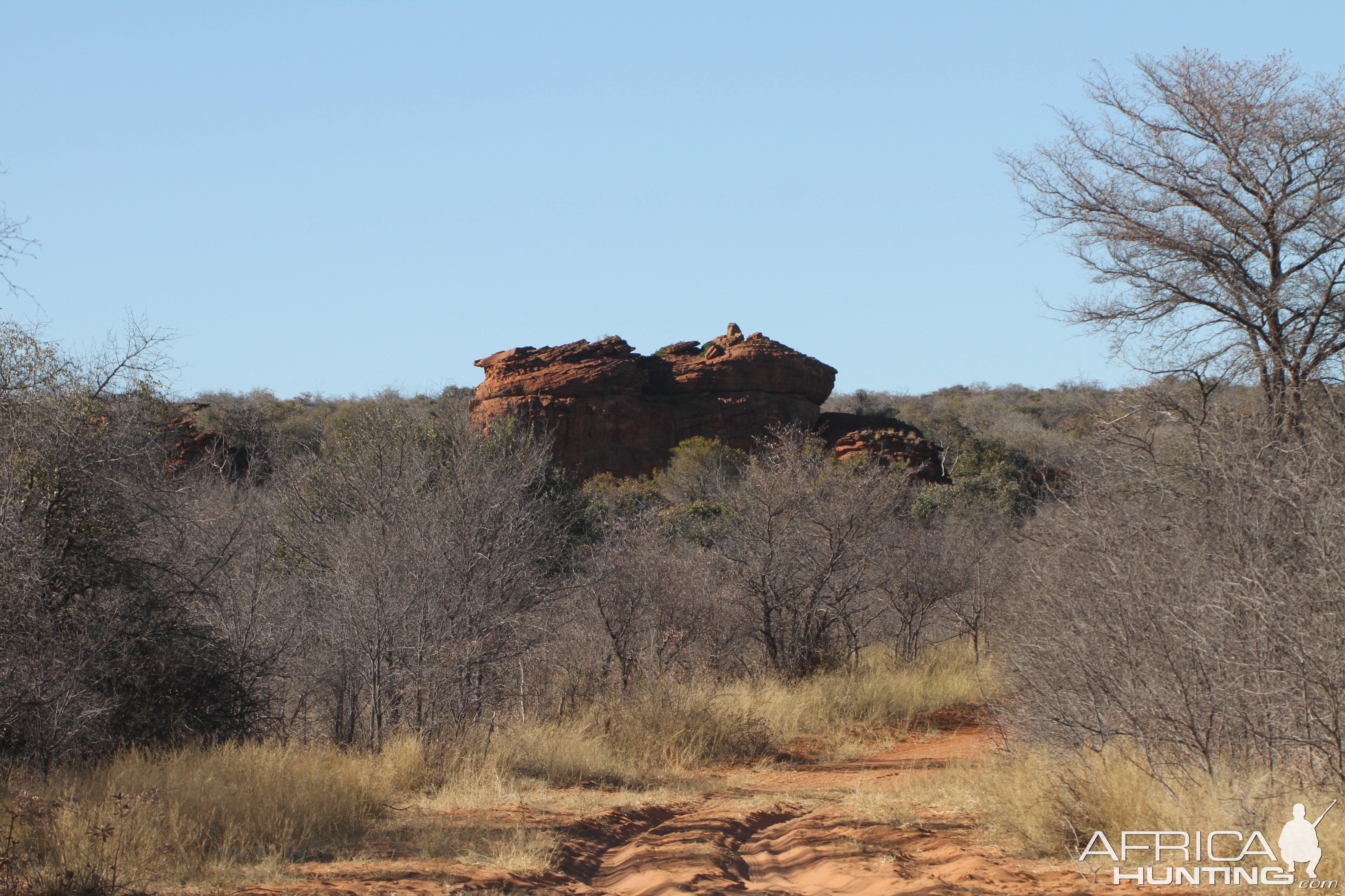 Waterberg National Park Namibia