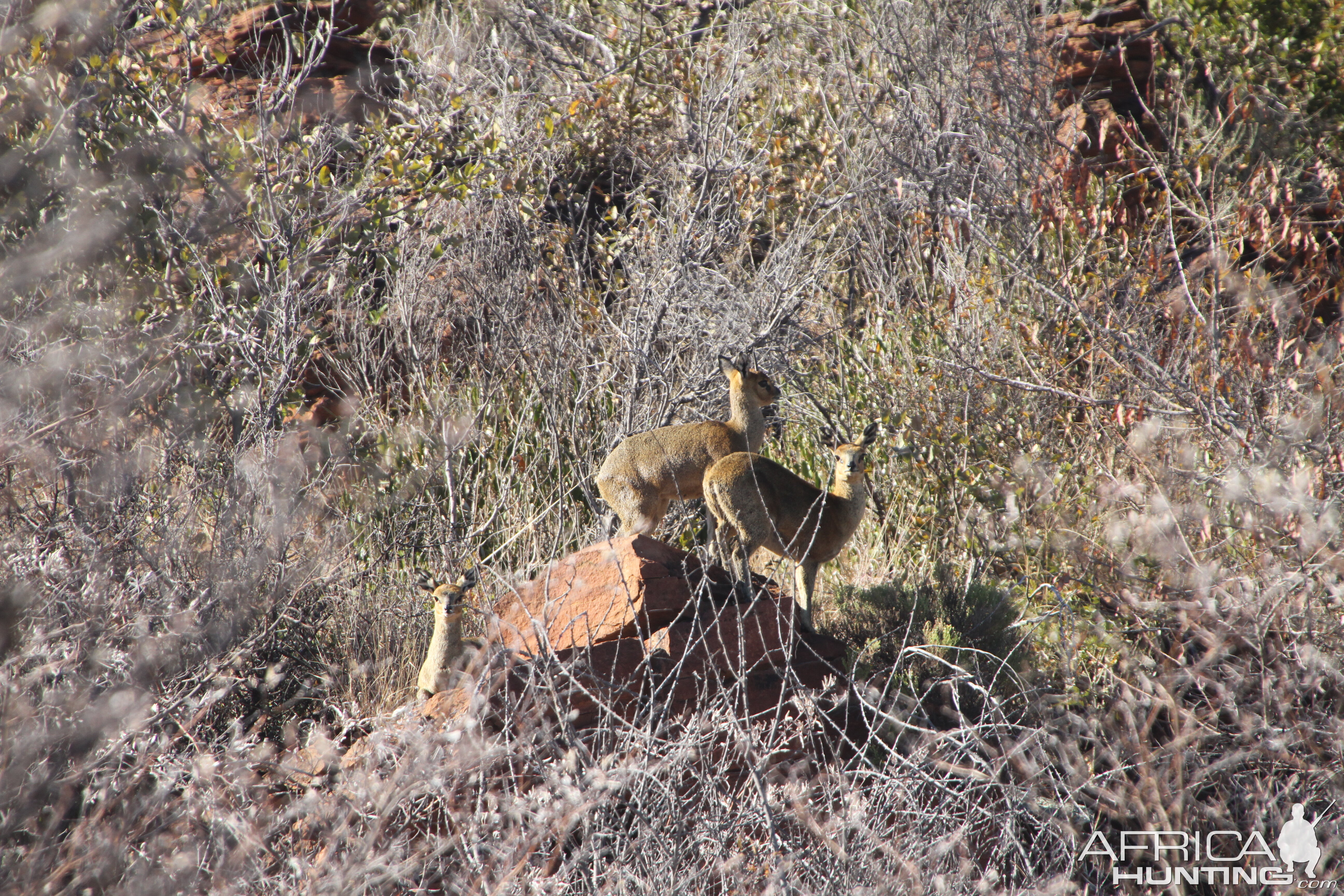 Waterberg National Park Namibia