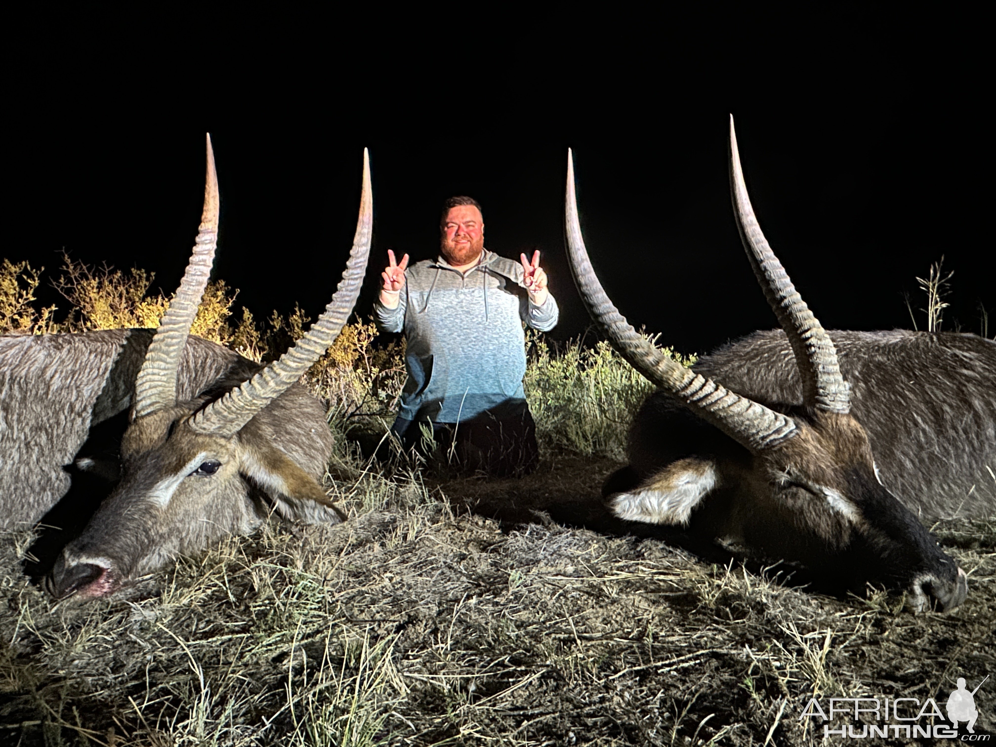 Waterbuck Duo Hunt South Africa