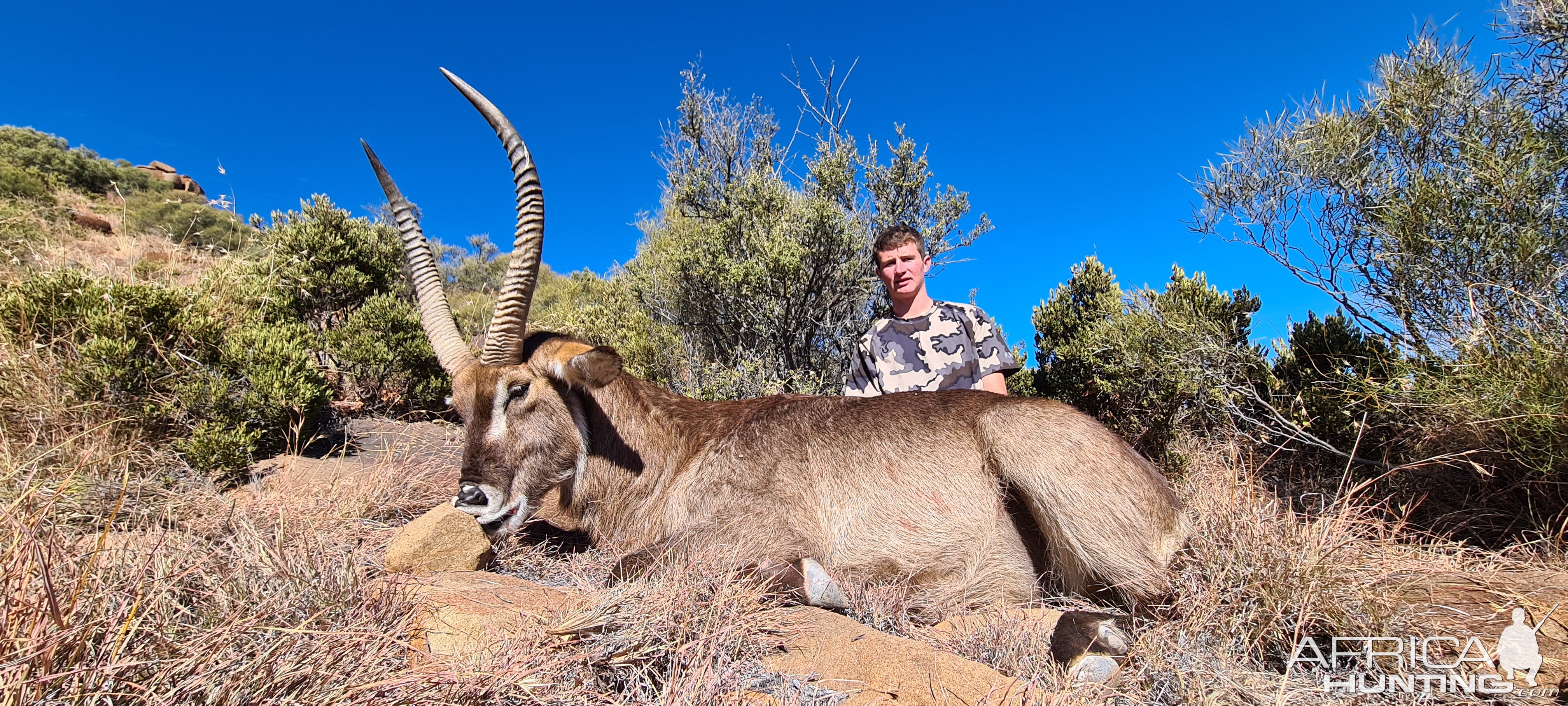 Waterbuck Hunt Eastern Cape South Africa