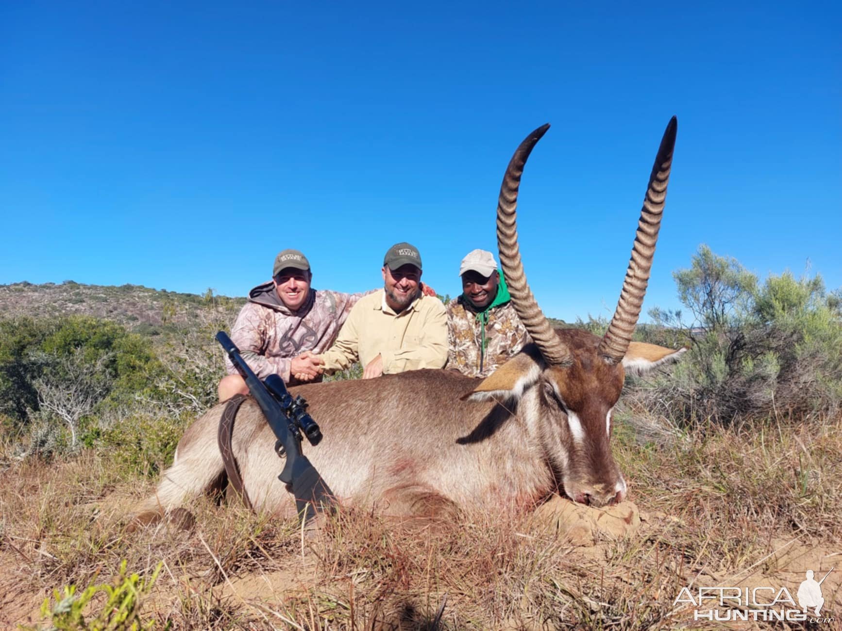 Waterbuck Hunt Eastern Cape South Africa