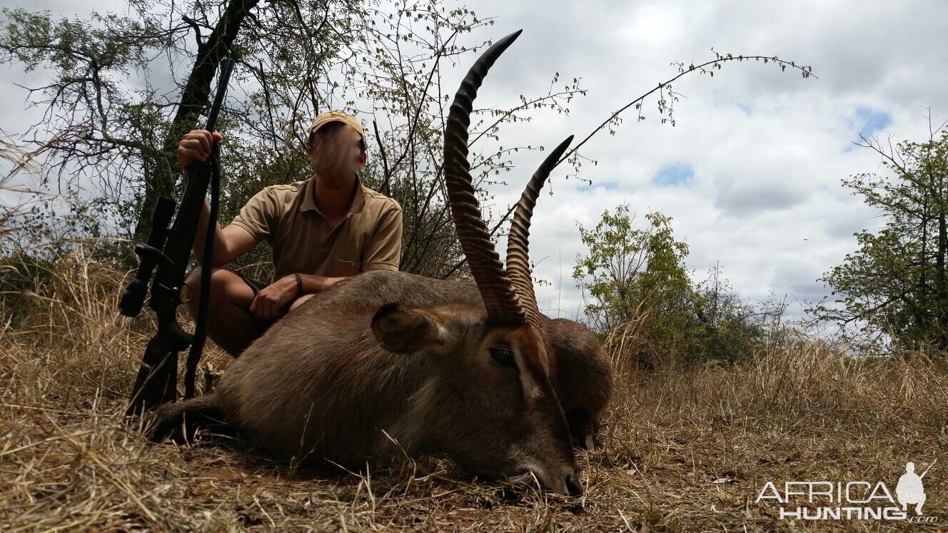 Waterbuck Hunt in Zimbabwe