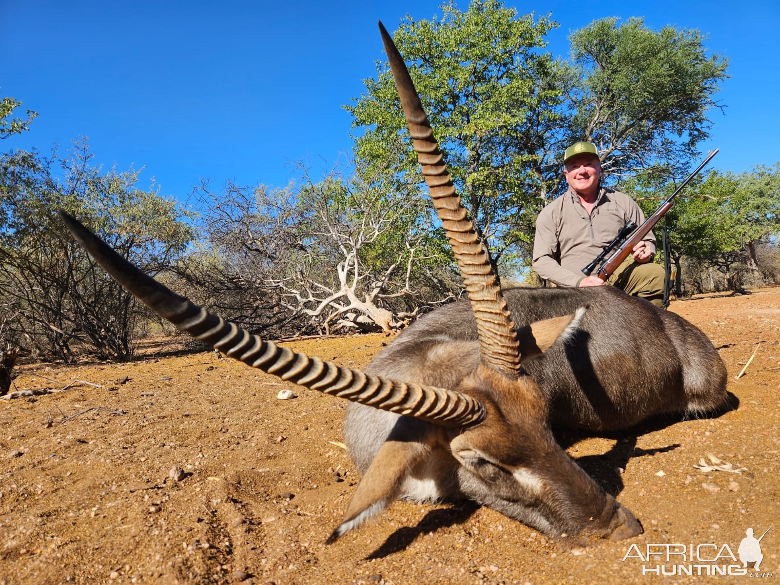 Waterbuck Hunt Limpopo South Africa