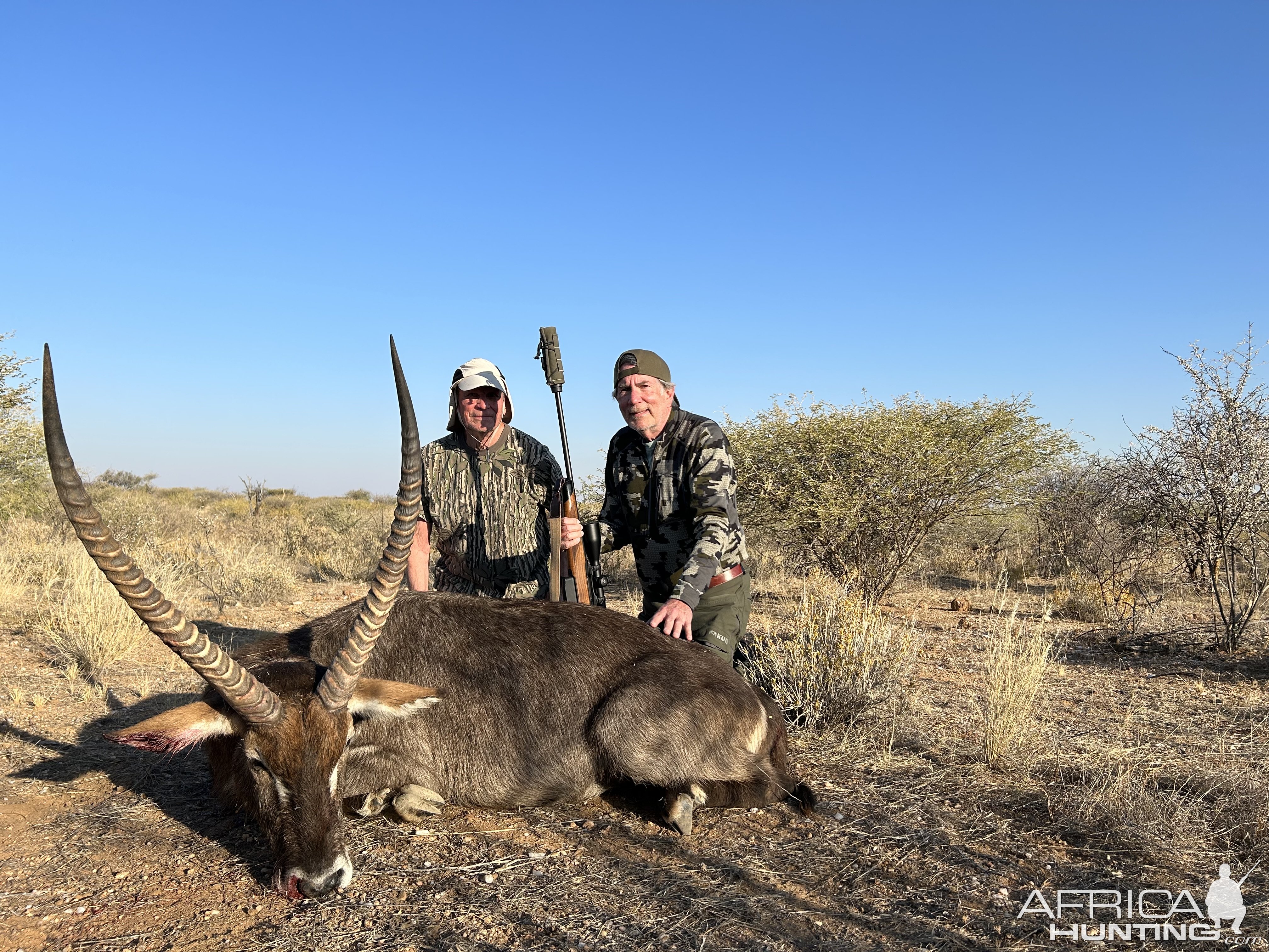 Waterbuck Hunt Namibia