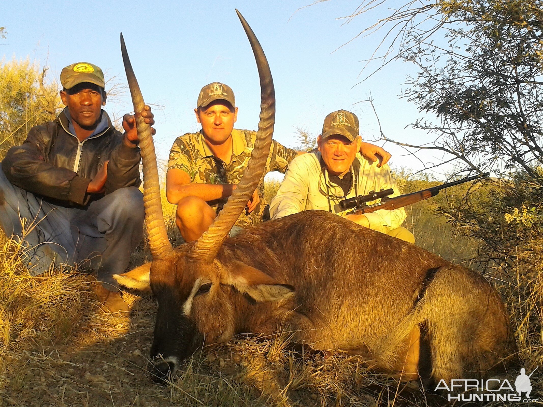 Waterbuck Hunt Namibia