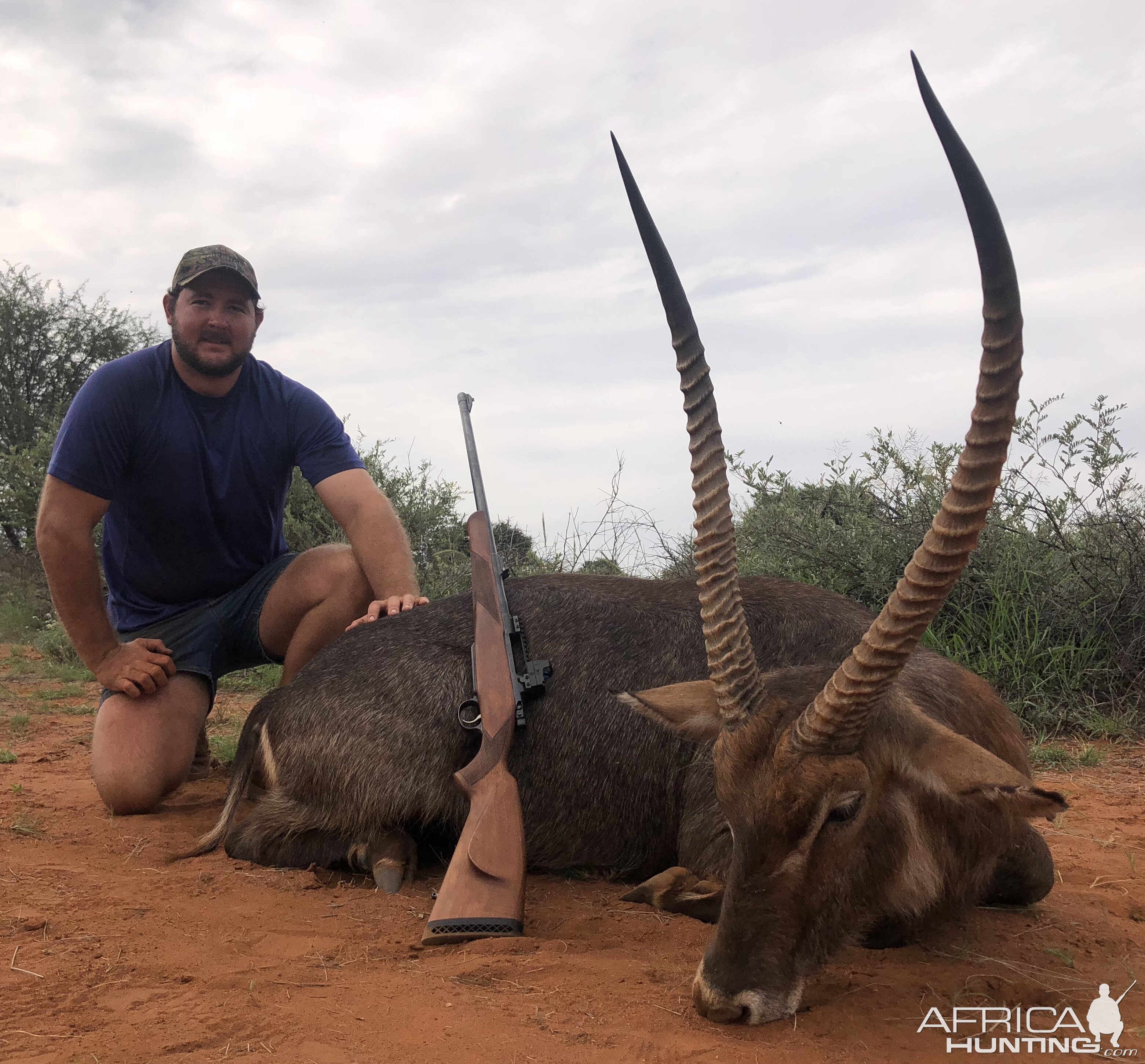 Waterbuck Hunt South Africa