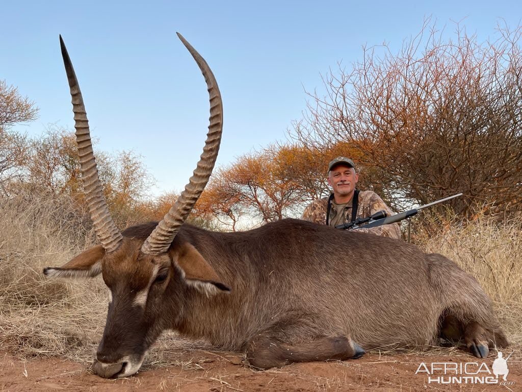 Waterbuck Hunt South Africa