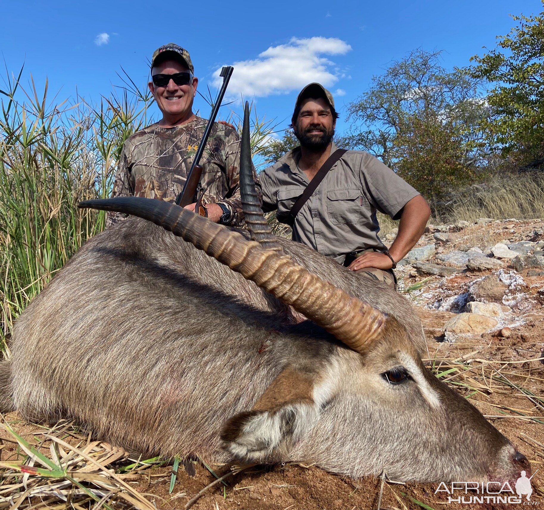 Waterbuck Hunt South Africa