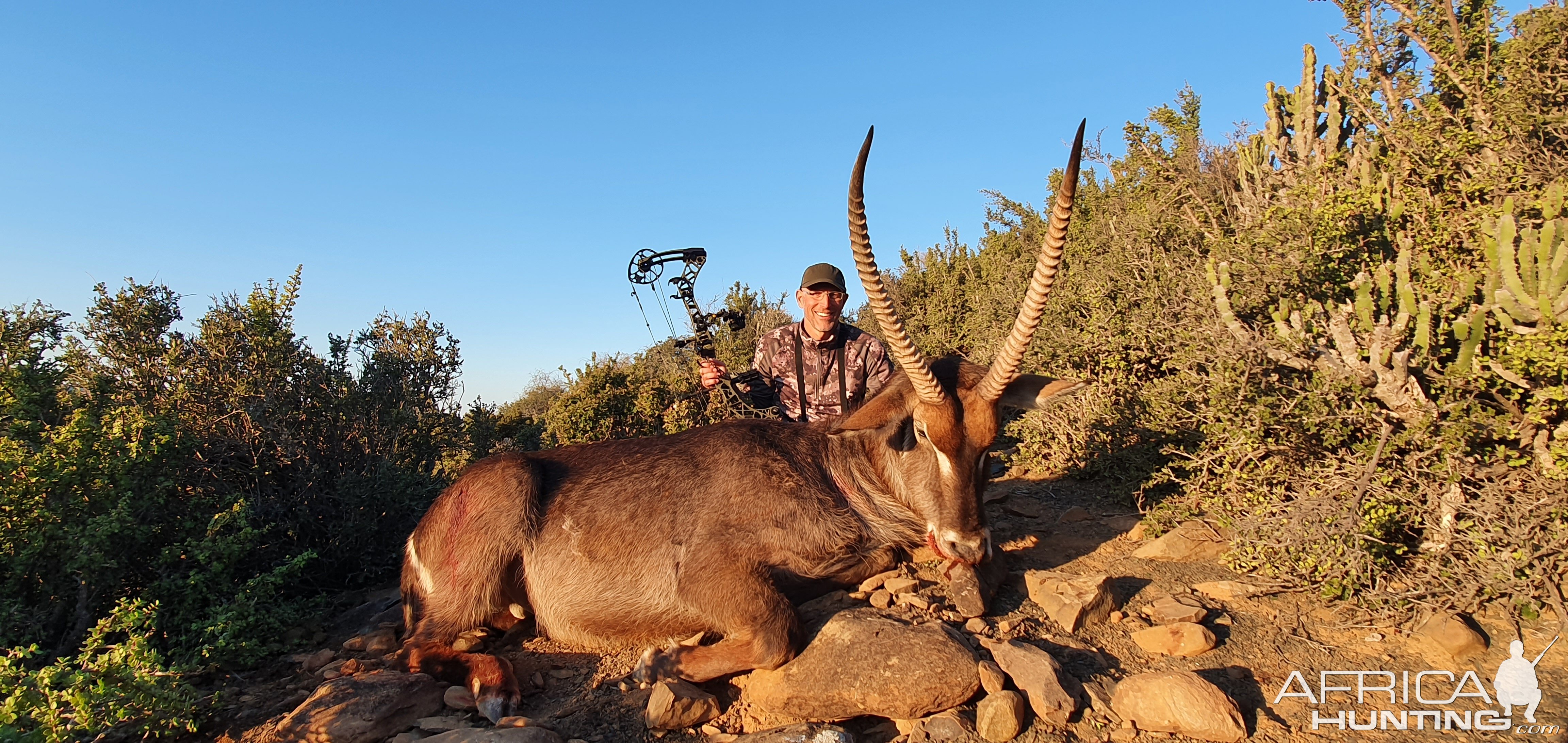 Waterbuck Hunt South Africa