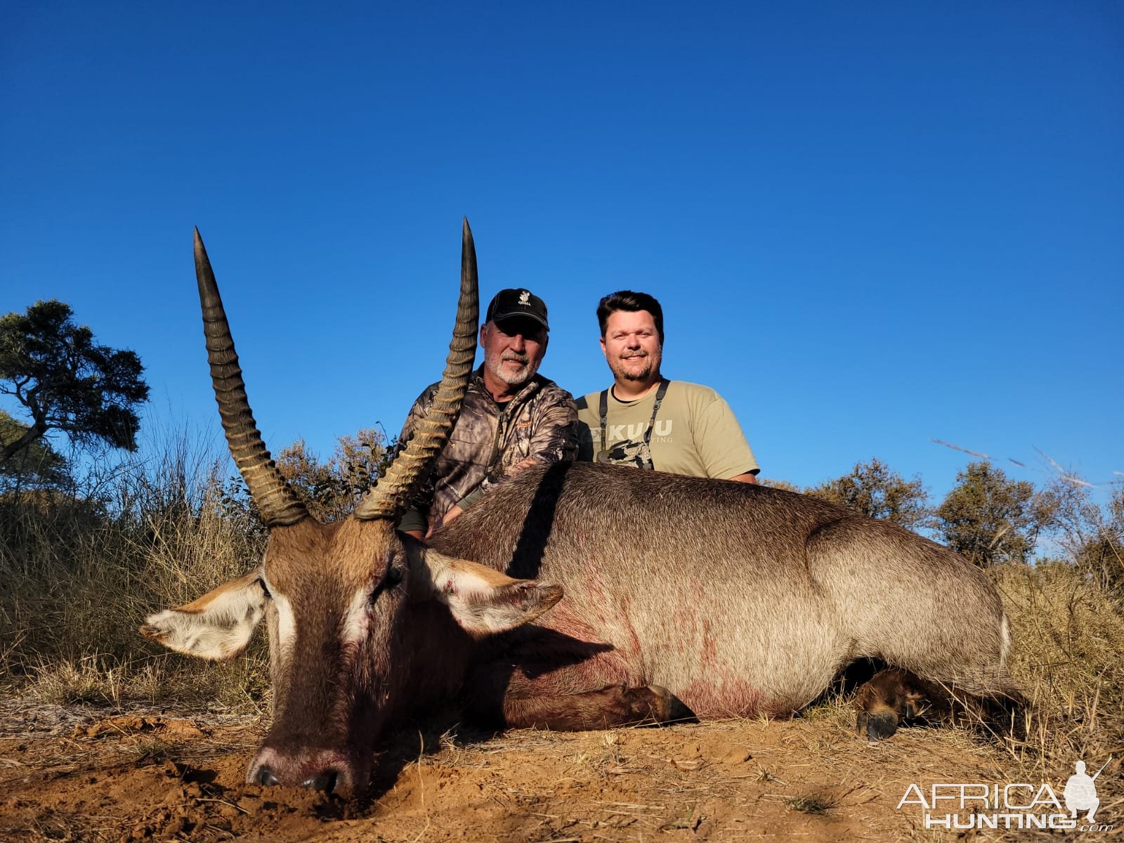 Waterbuck Hunt South Africa