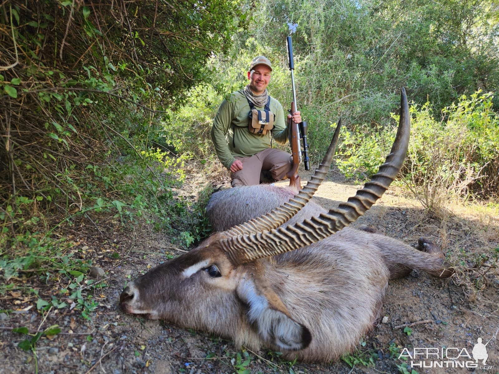 Waterbuck Hunt South Africa