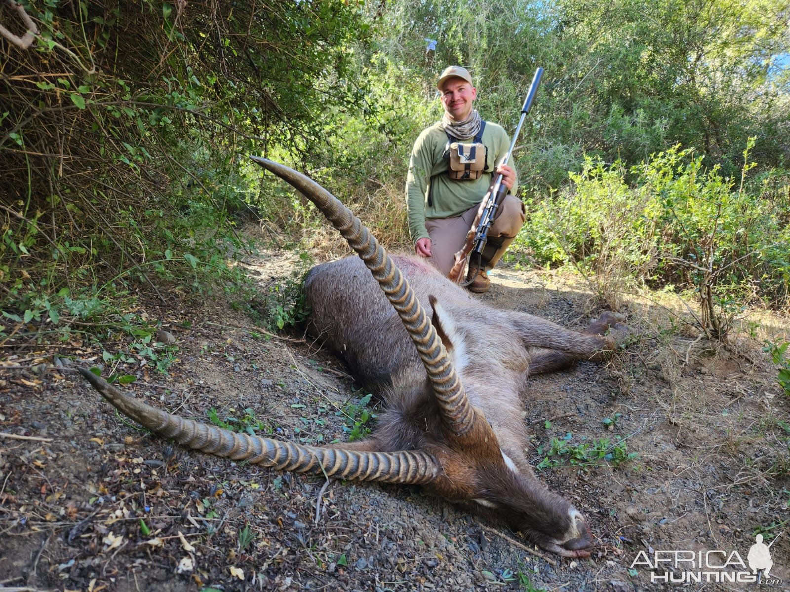 Waterbuck Hunt South Africa