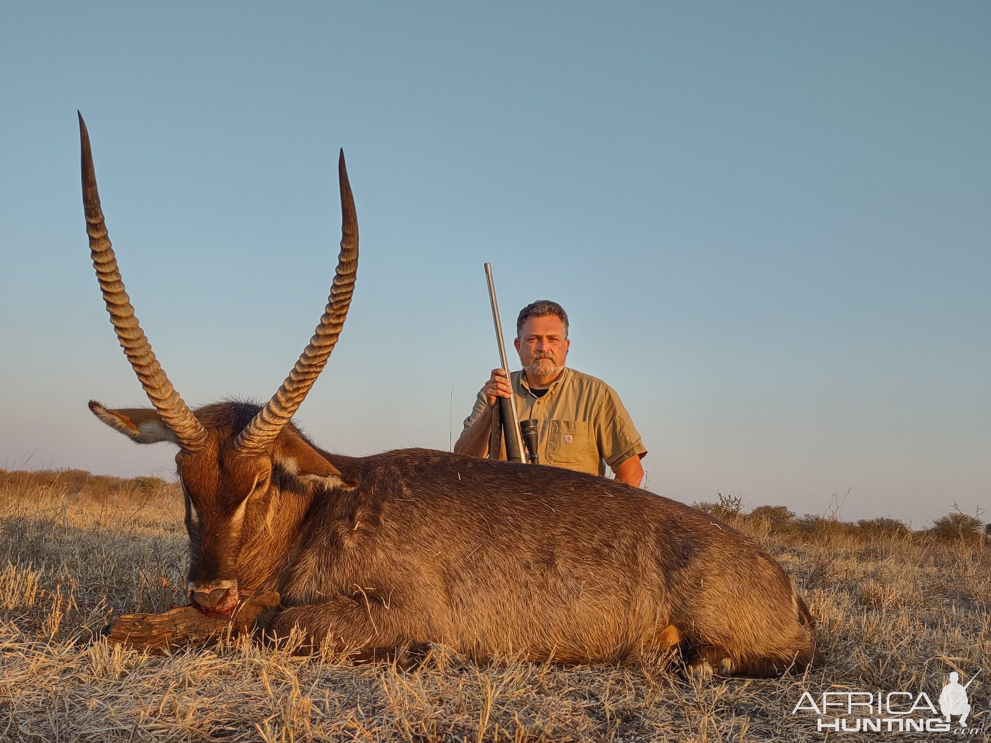 Waterbuck Hunt South Africa