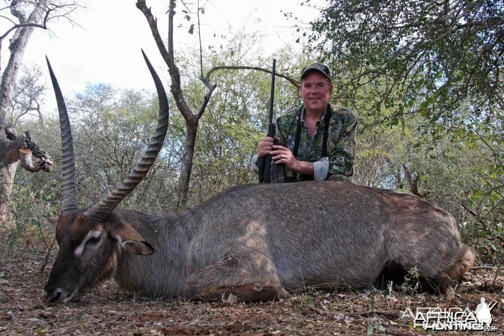 Waterbuck Hunt South Africa