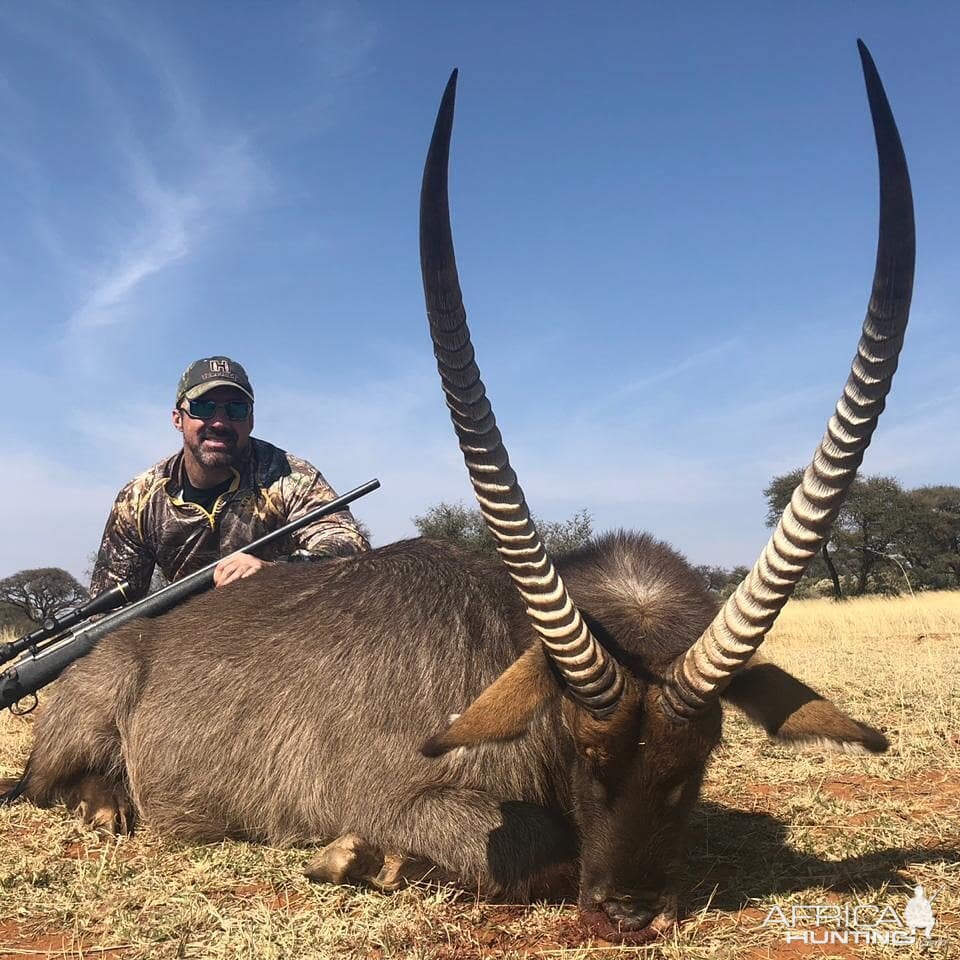 Waterbuck Hunt South Africa