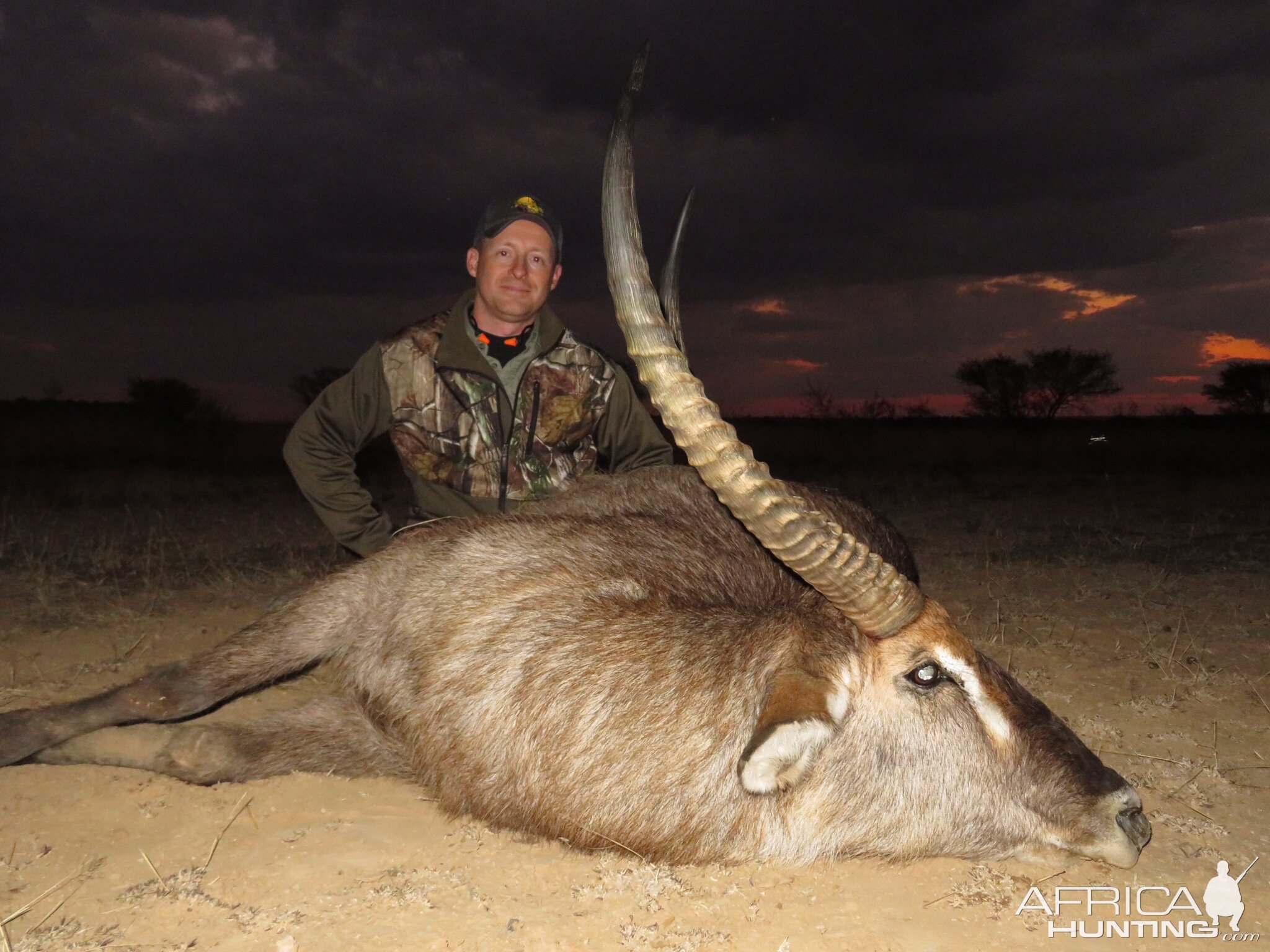 Waterbuck Hunt South Africa