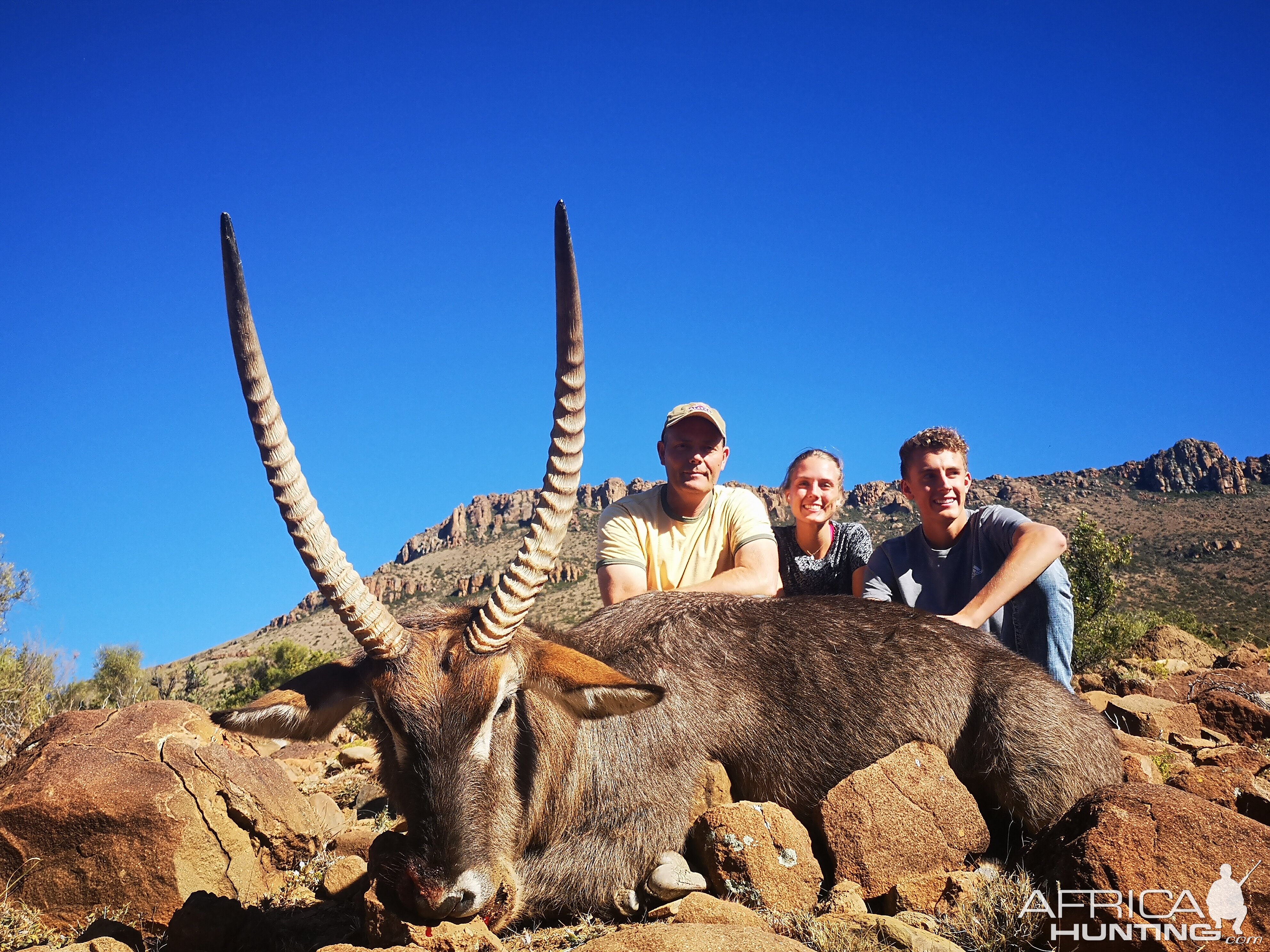 Waterbuck Hunt South Africa