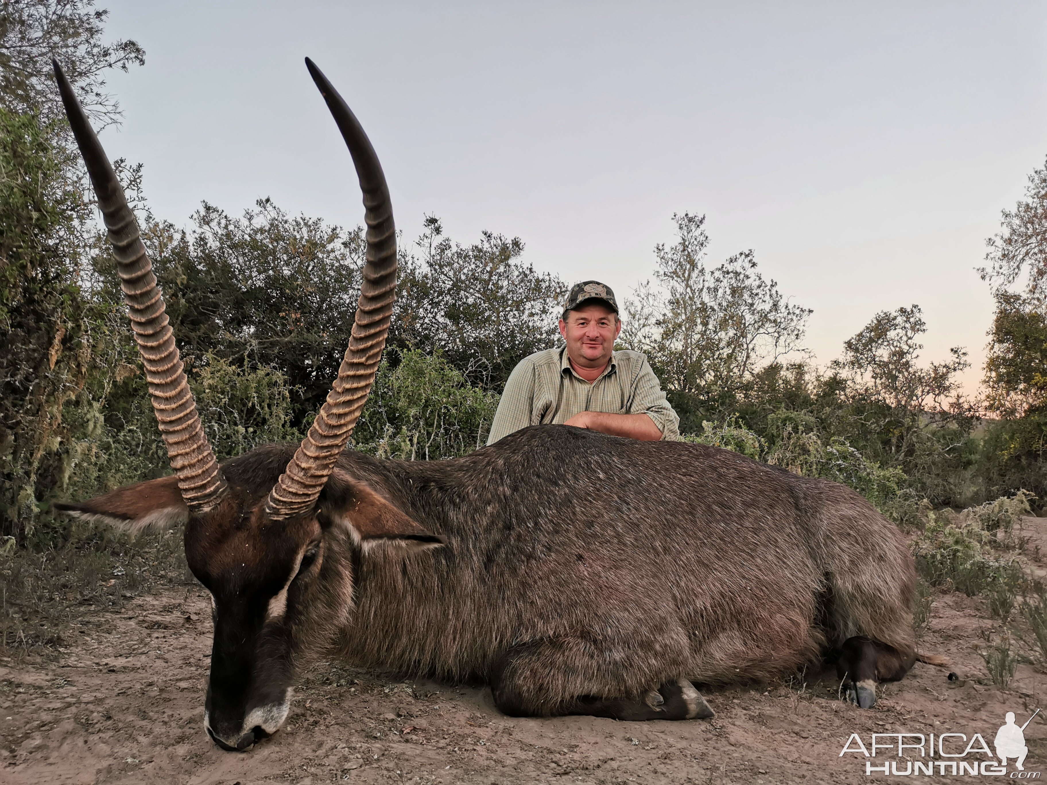 Waterbuck Hunt South Africa