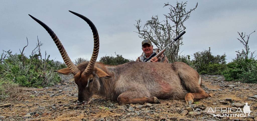 Waterbuck Hunting Eastern Cape South Africa | AfricaHunting.com