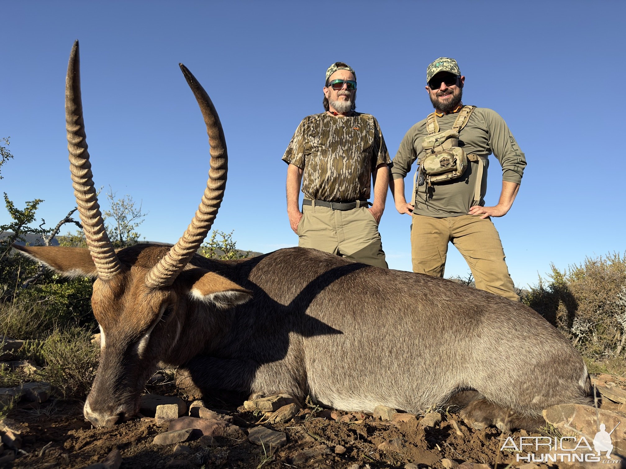 Waterbuck Hunting Eastern Cape South Africa