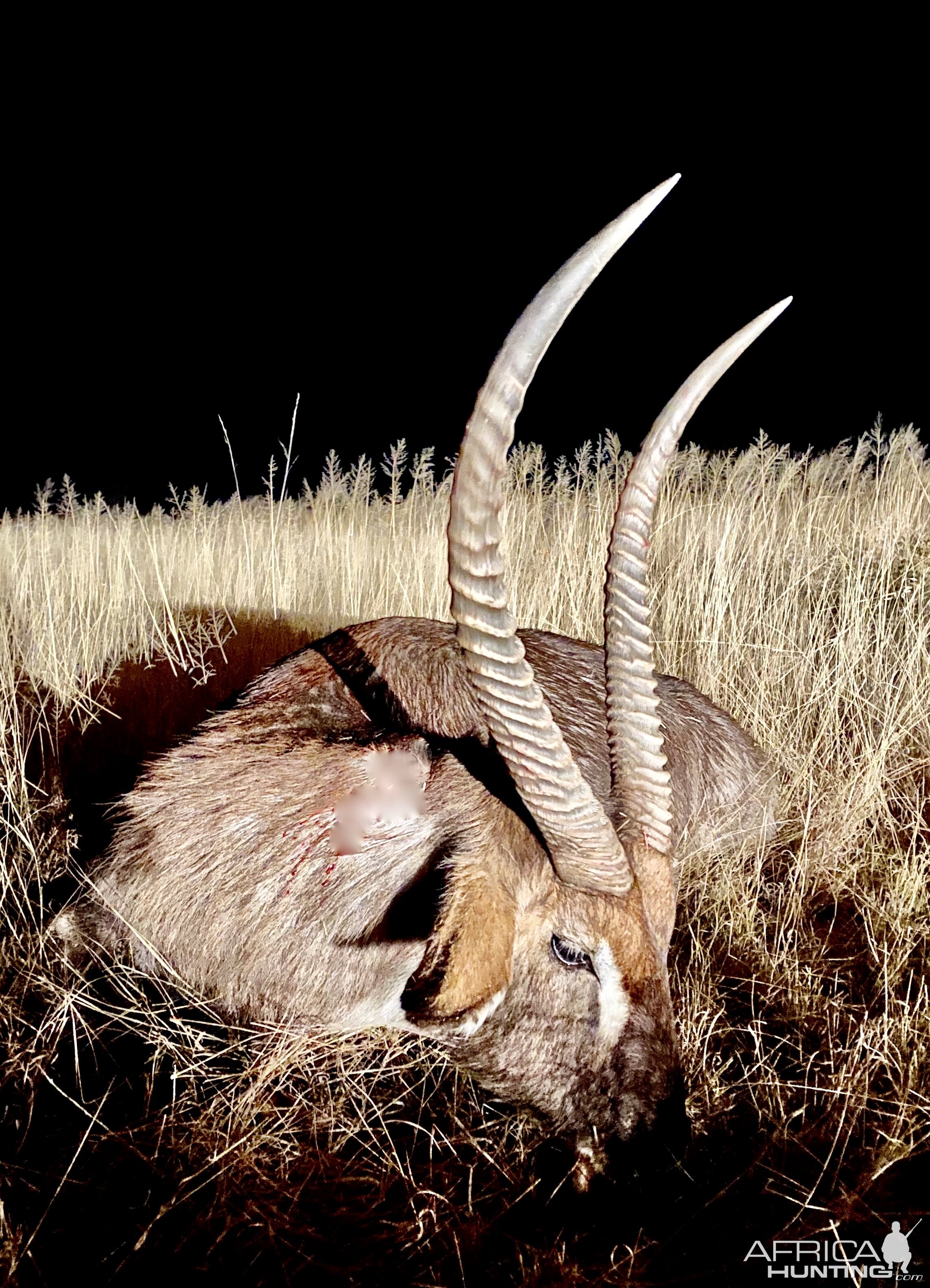 Waterbuck hunting in Namibia with Zana Botes Safari