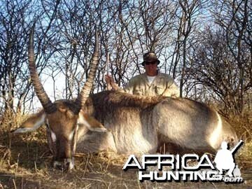 Waterbuck Hunting in Namibia