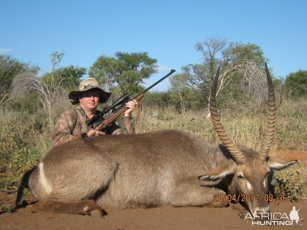 Waterbuck Hunting in South Africa