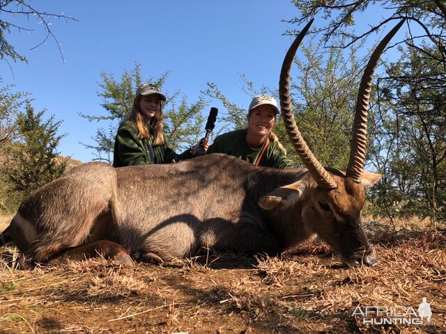 Waterbuck Hunting in South Africa