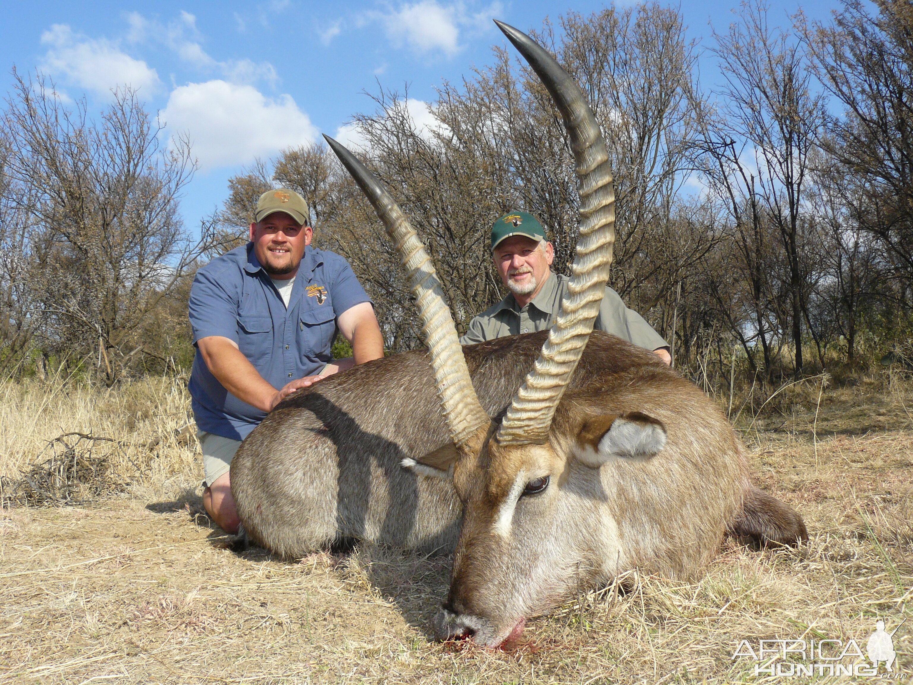 Waterbuck Hunting South Africa